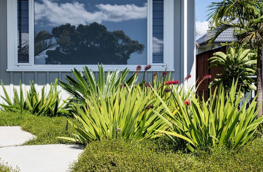 Contemporary Entrance, Hillcrest