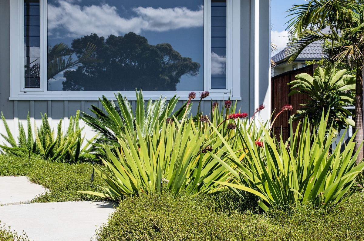 Contemporary Entrance, Hillcrest