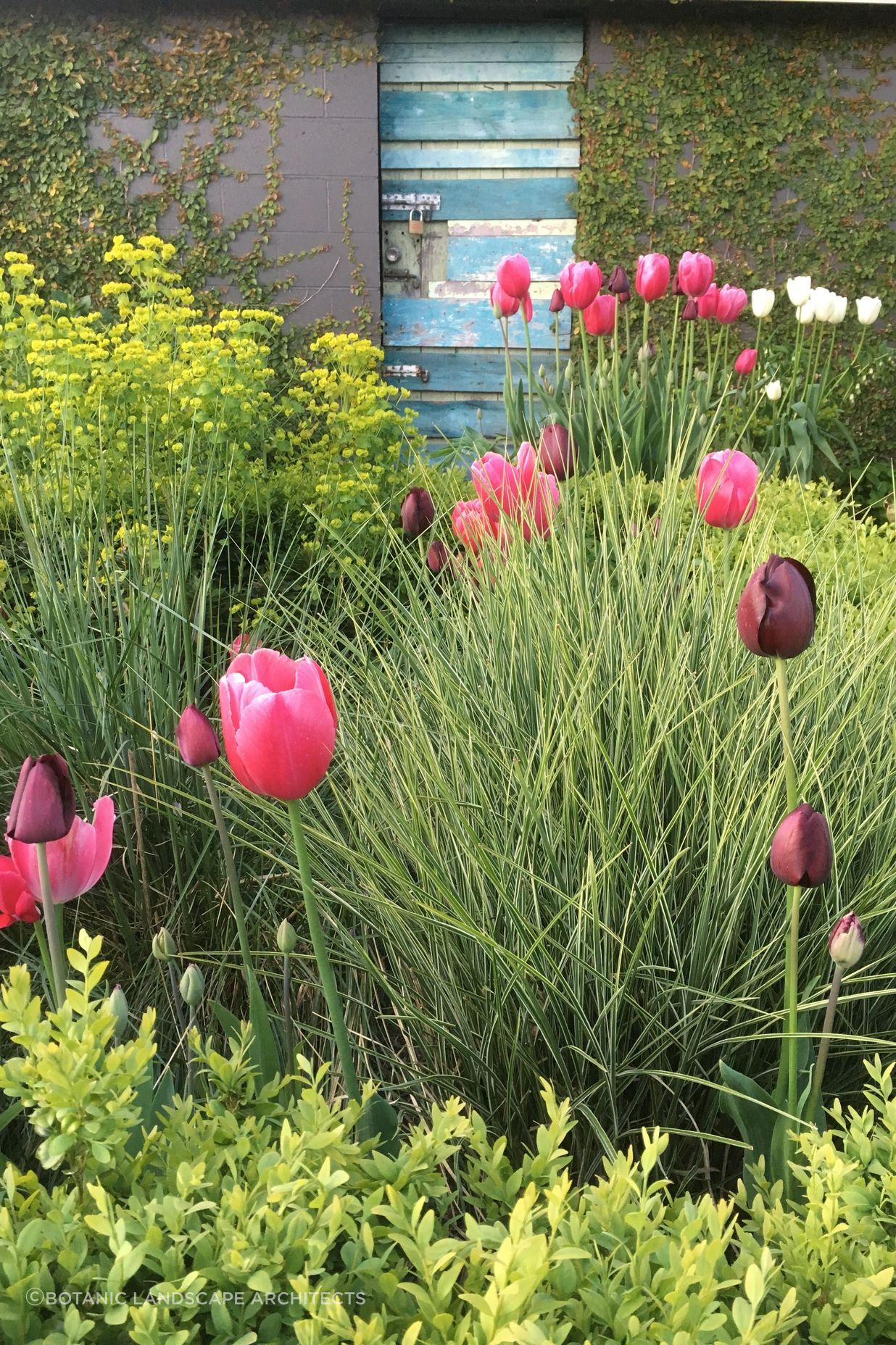 Shirley Garden