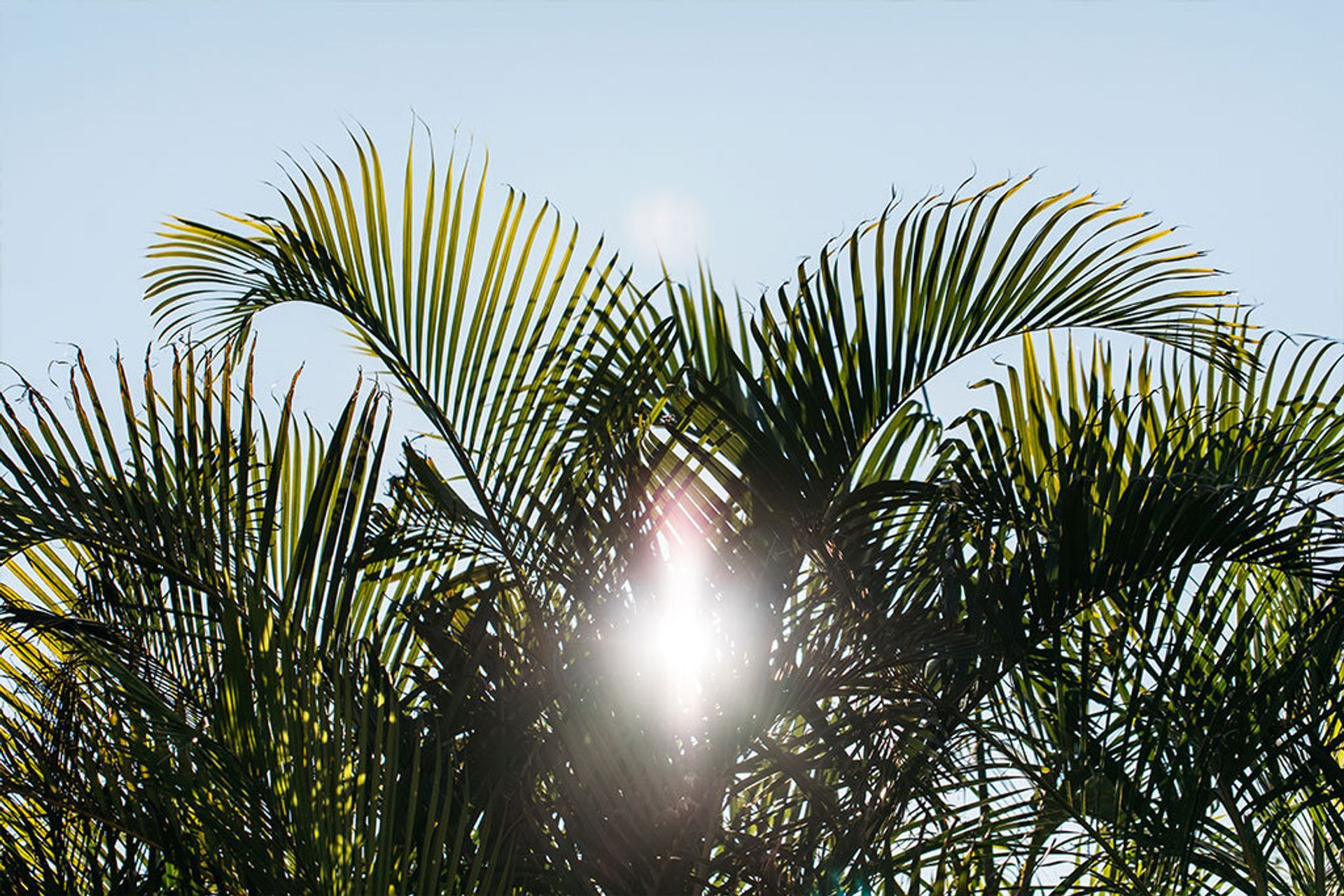 STANWELL PARK