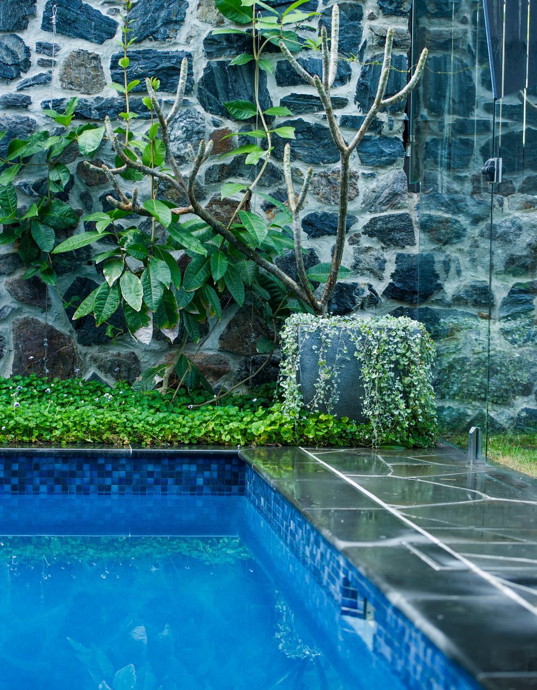 Tropical Retreat