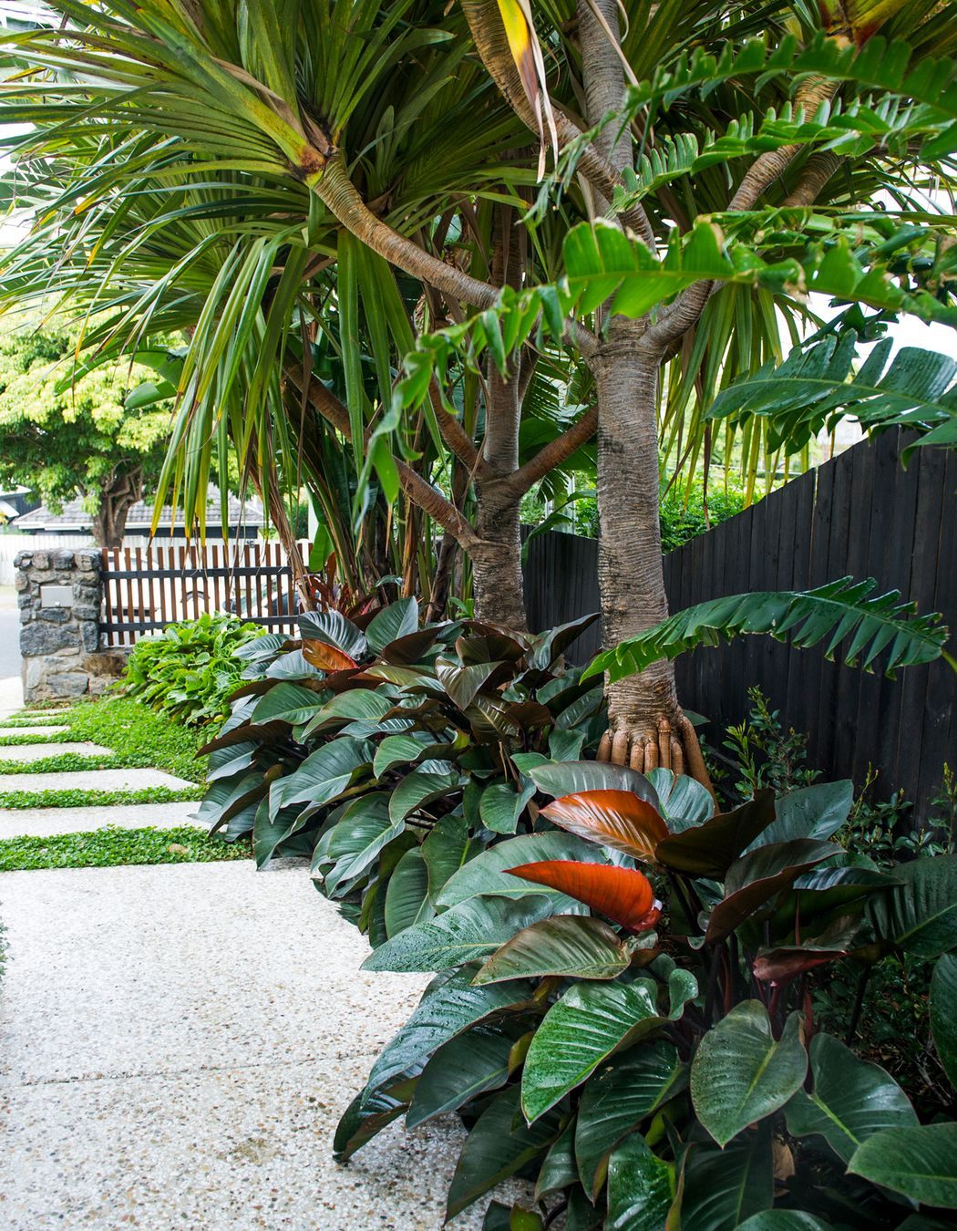 Tropical Retreat