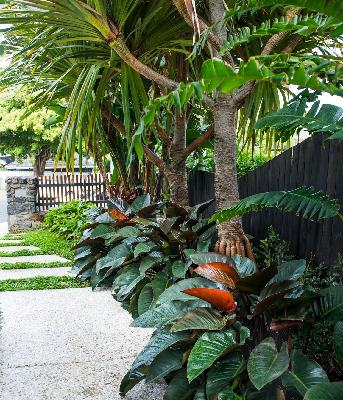 Tropical Retreat