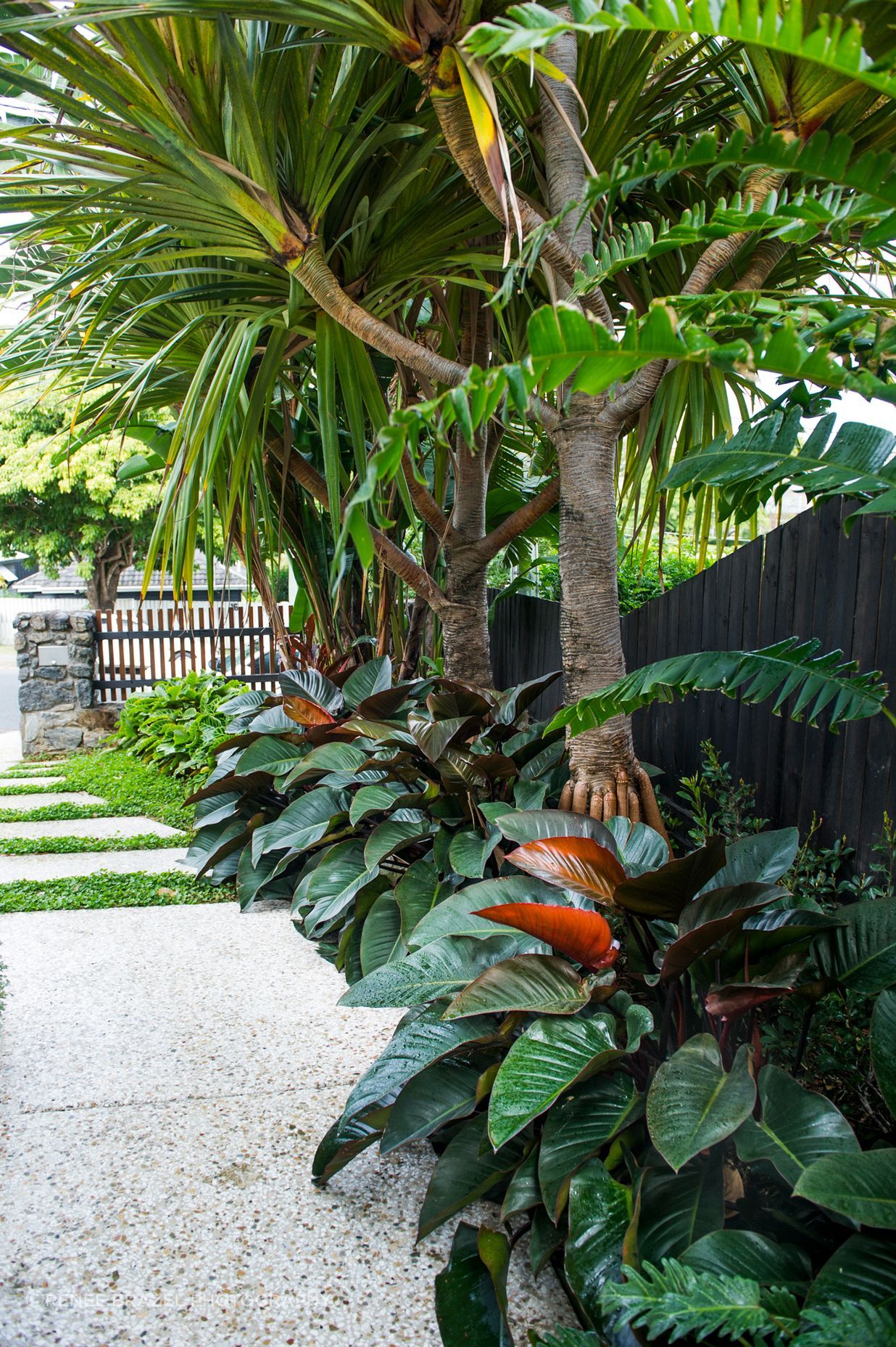 Tropical Retreat
