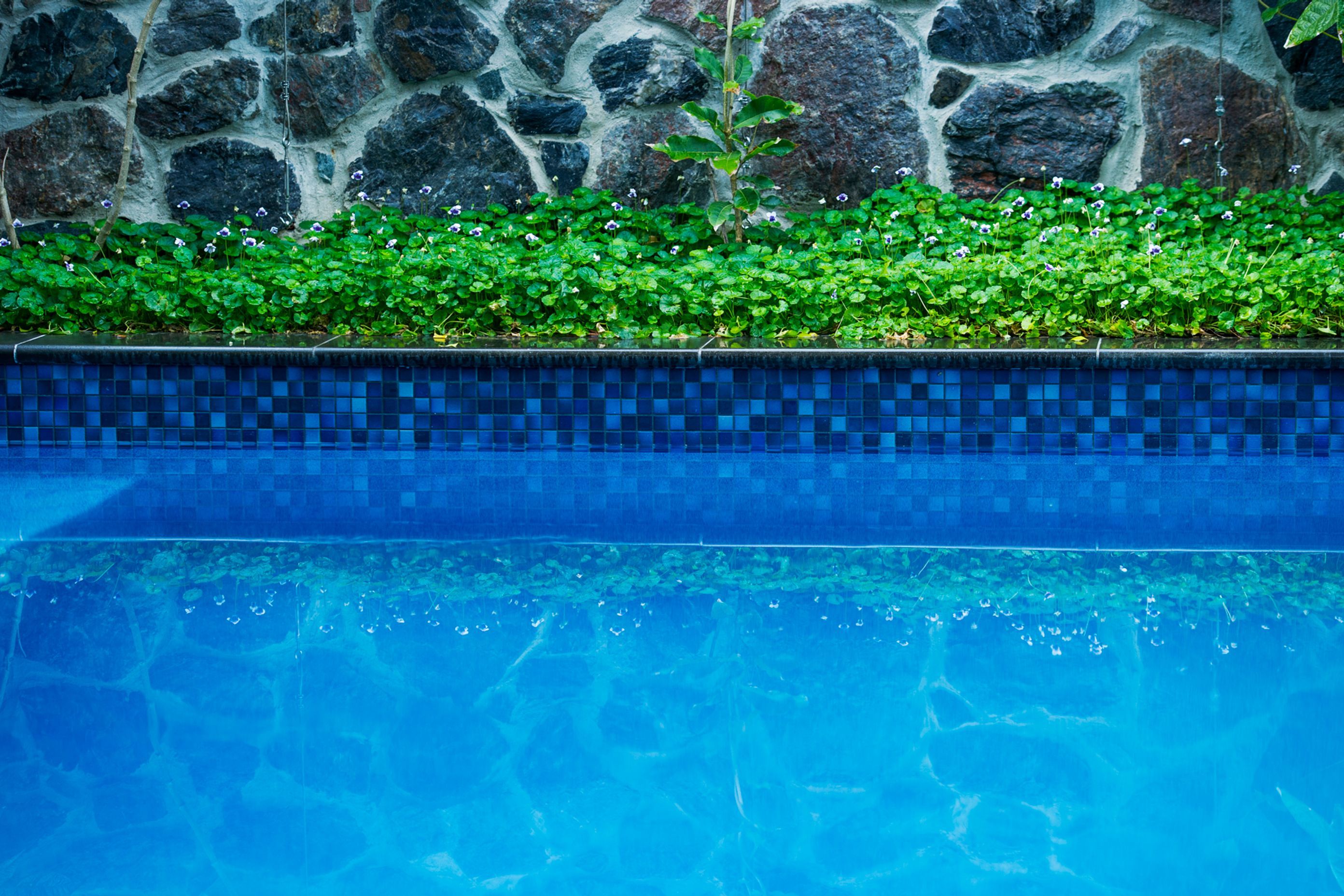 Tropical Retreat