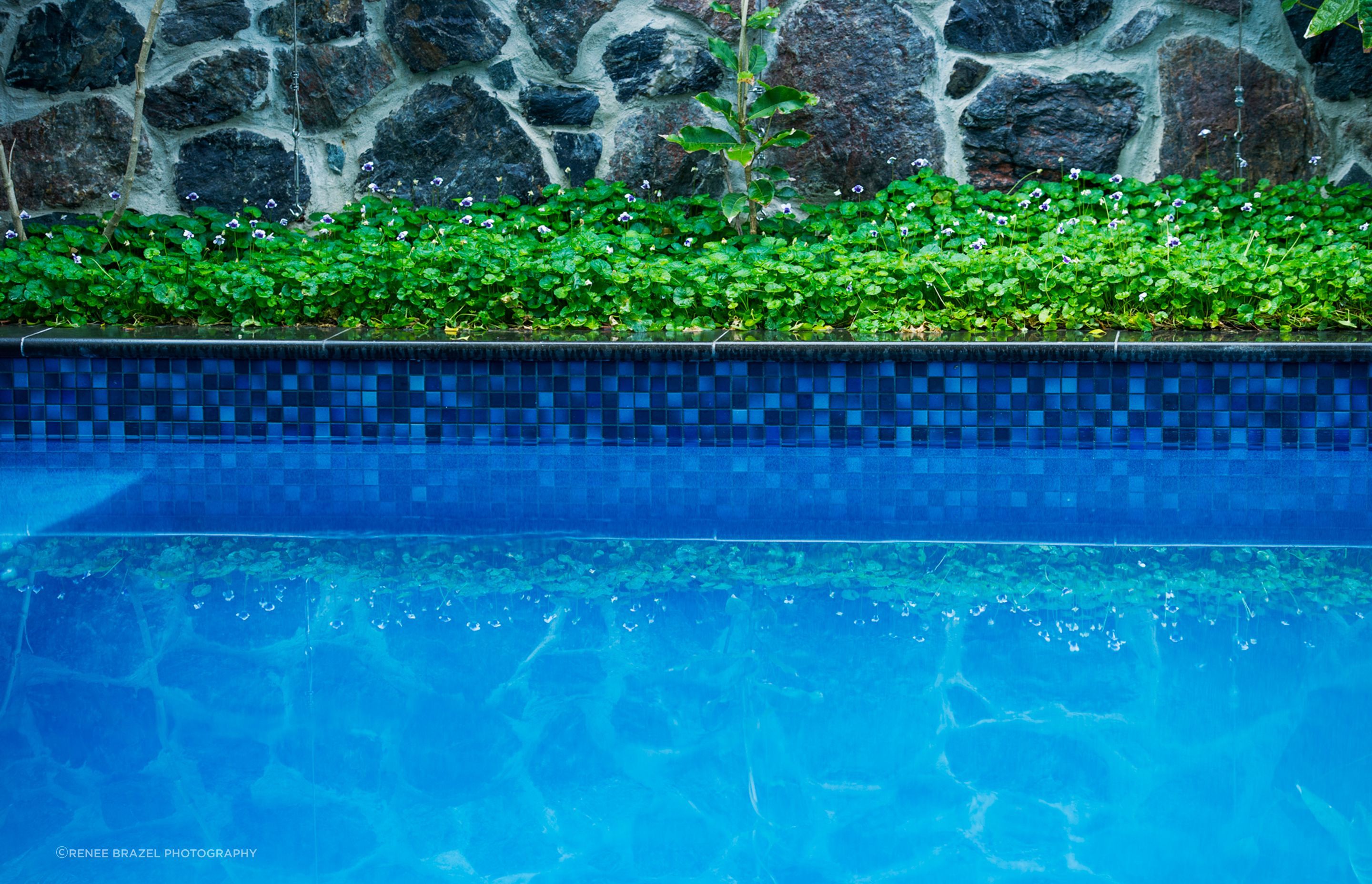 Tropical Retreat