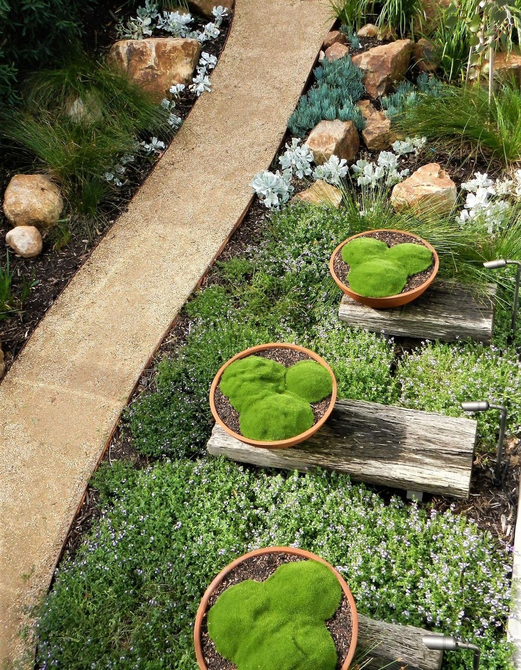 Photography: Patrick Redmond | Coastal landscape design