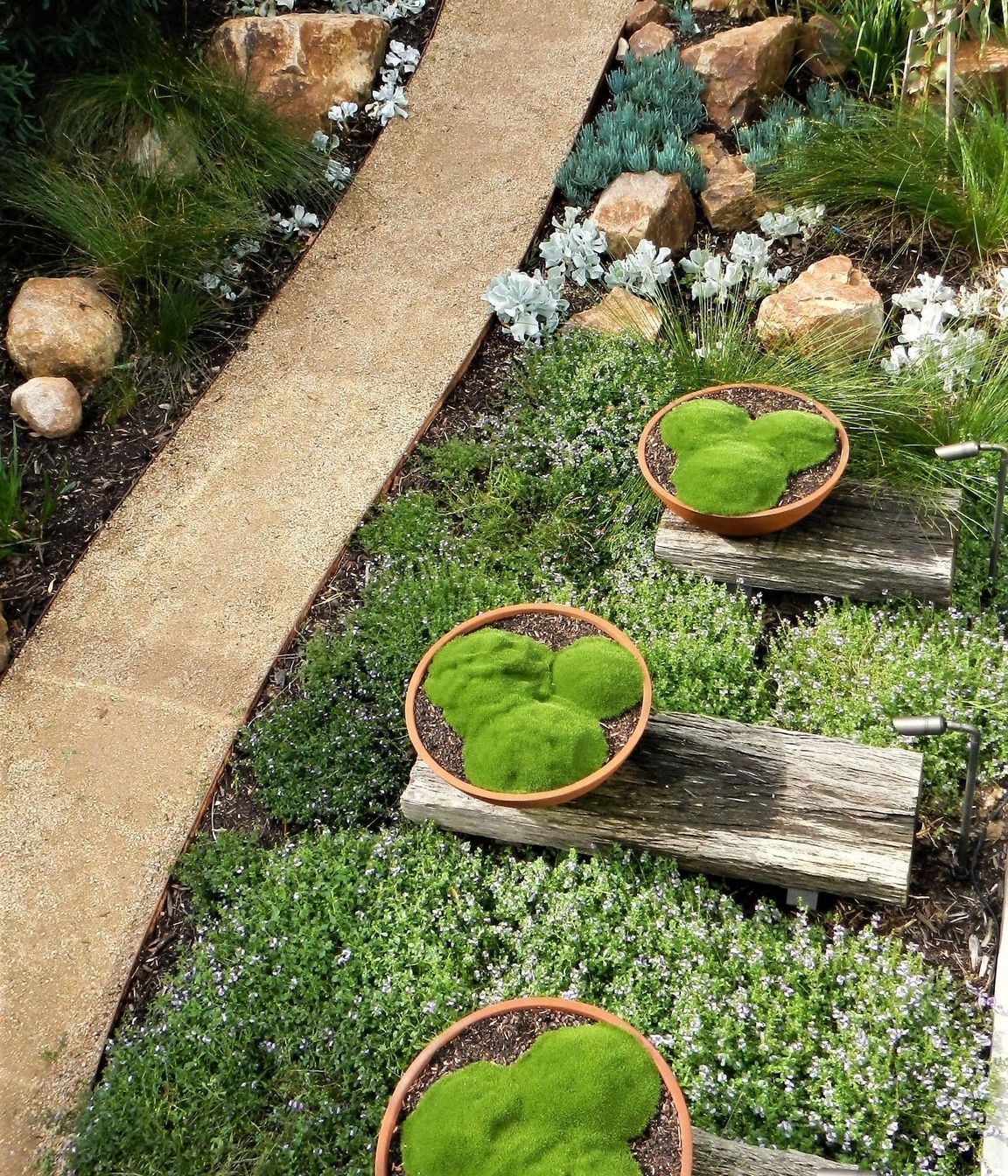 Photography: Patrick Redmond | Coastal landscape design