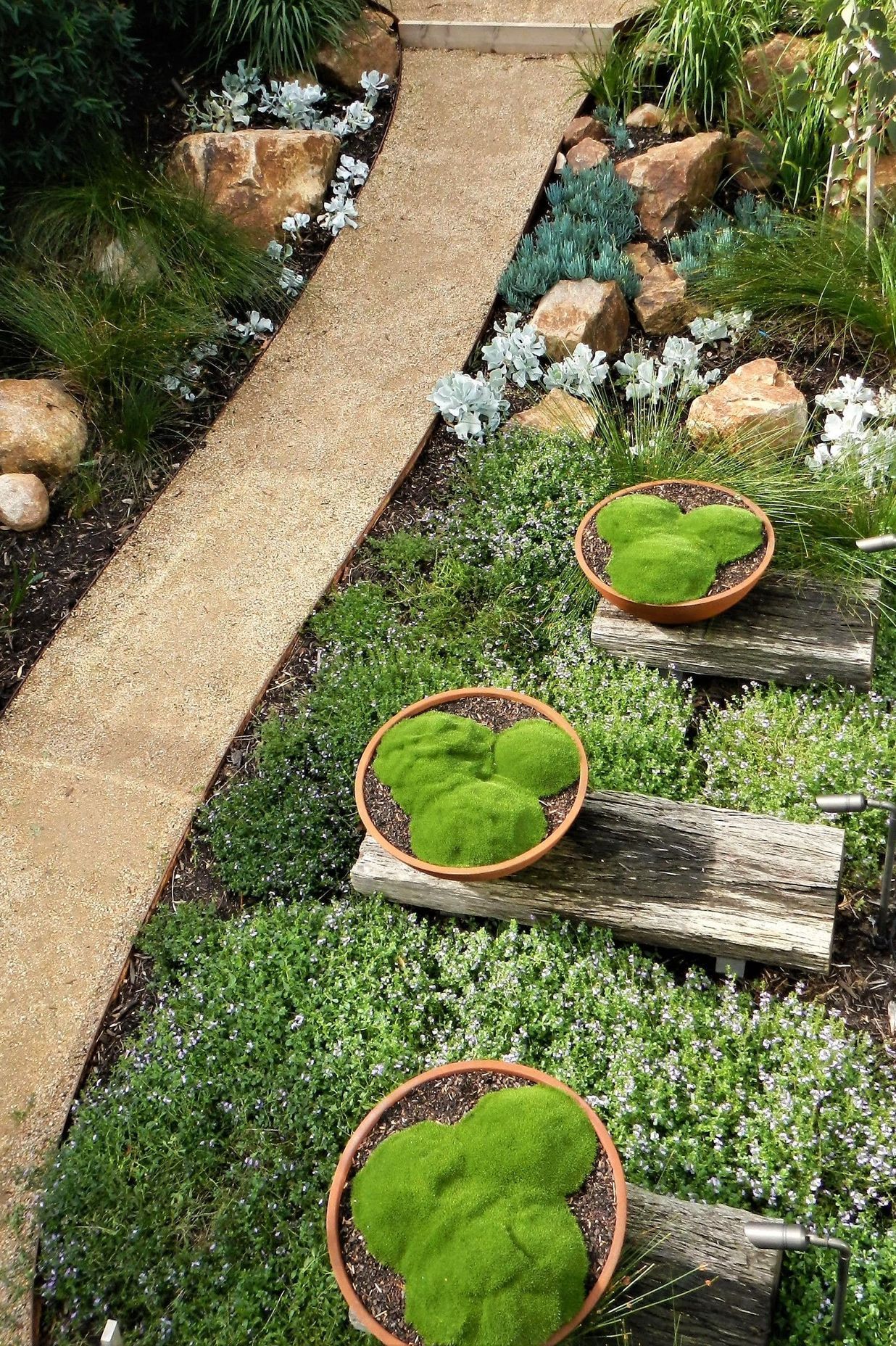 Photography: Patrick Redmond | Coastal landscape design