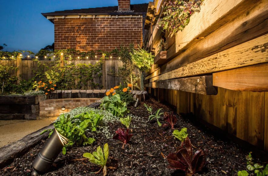 Cooks Hill | Inner City Warmth