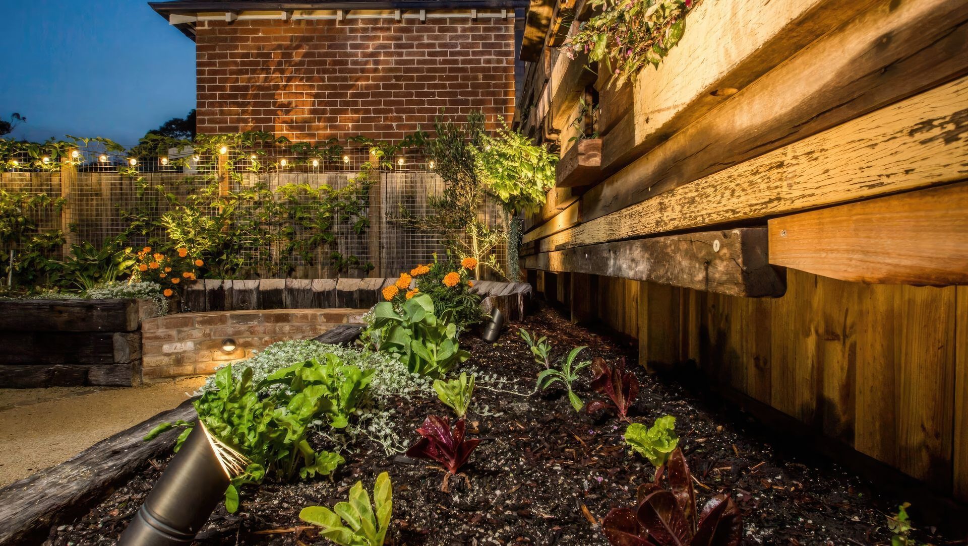Cooks Hill | Inner City Warmth banner