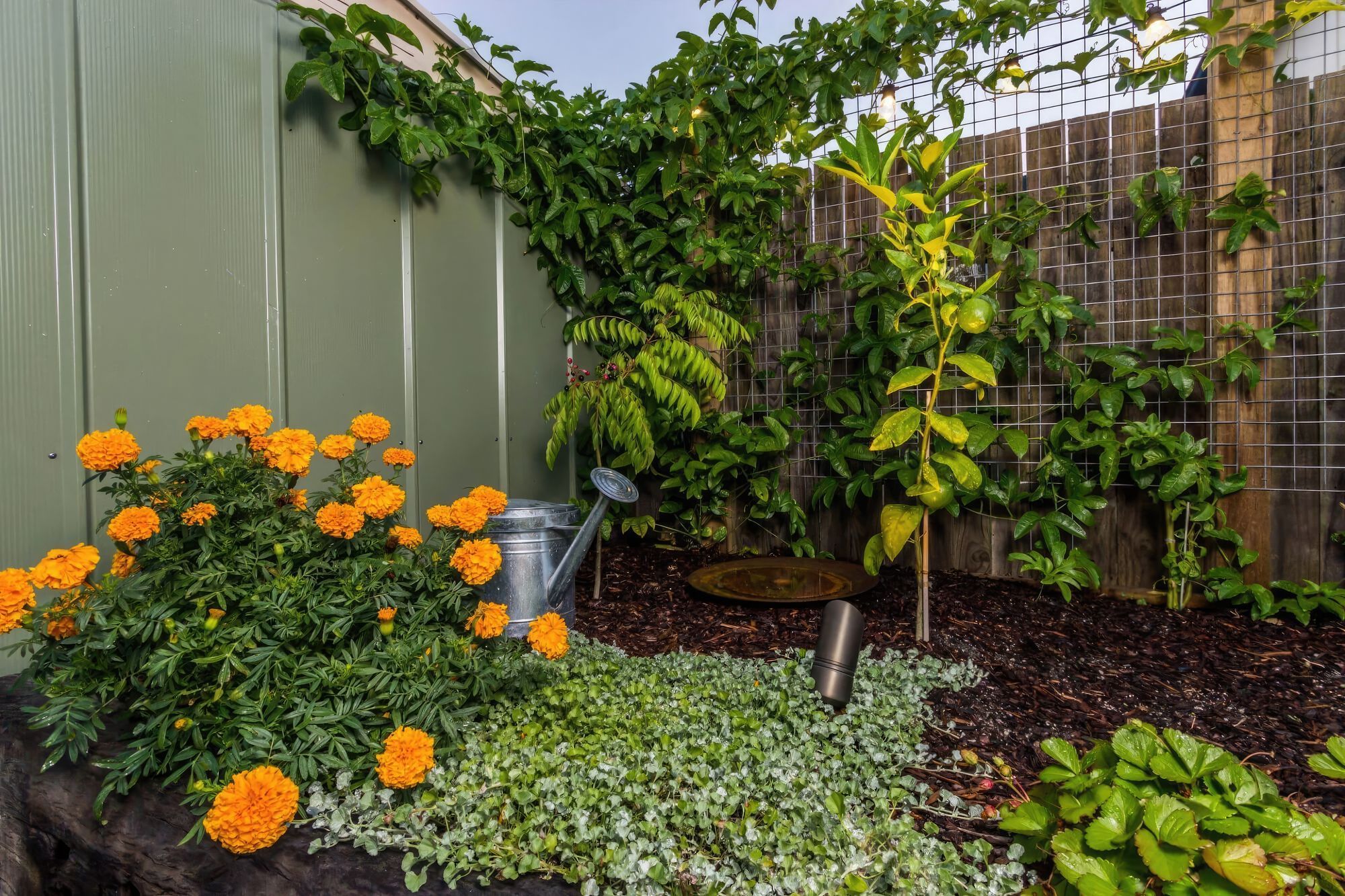 up6-Cooks-Hill-garden-restoration-fix-standard-scale-200x.jpg