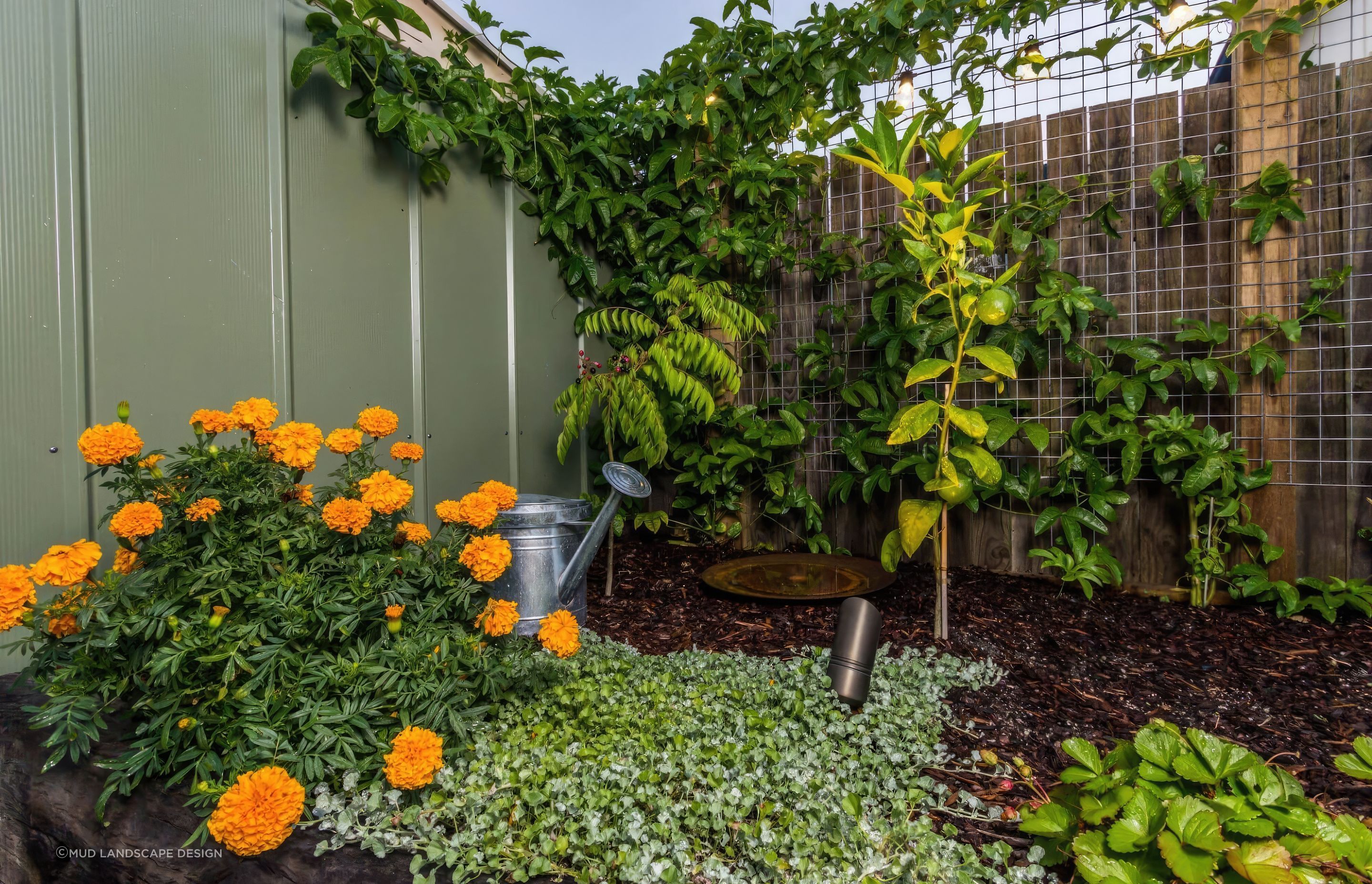 up6-Cooks-Hill-garden-restoration-fix-standard-scale-200x.jpg