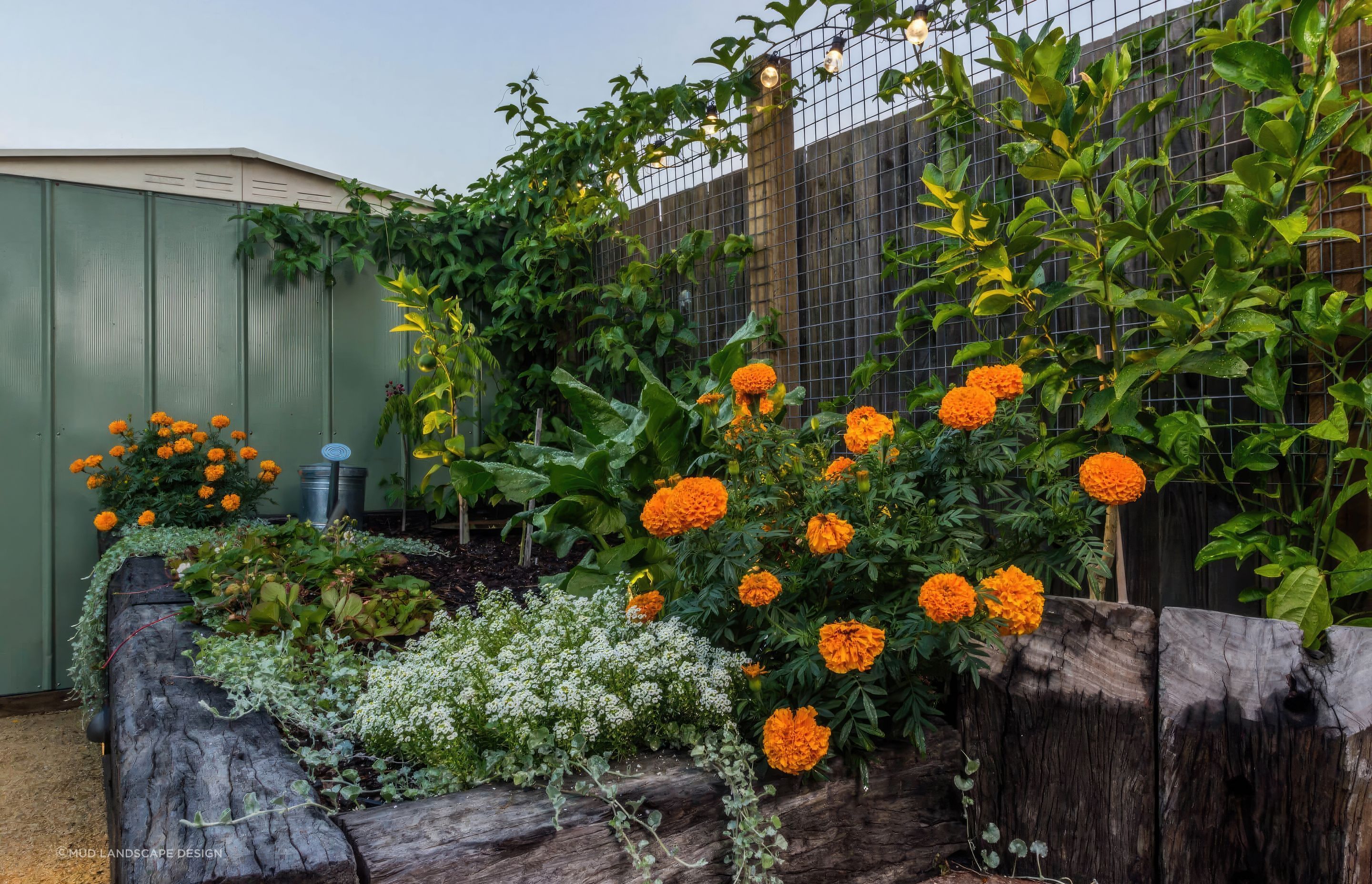 up8-Newcastle-garden-design-fix-standard-scale-200x.jpg