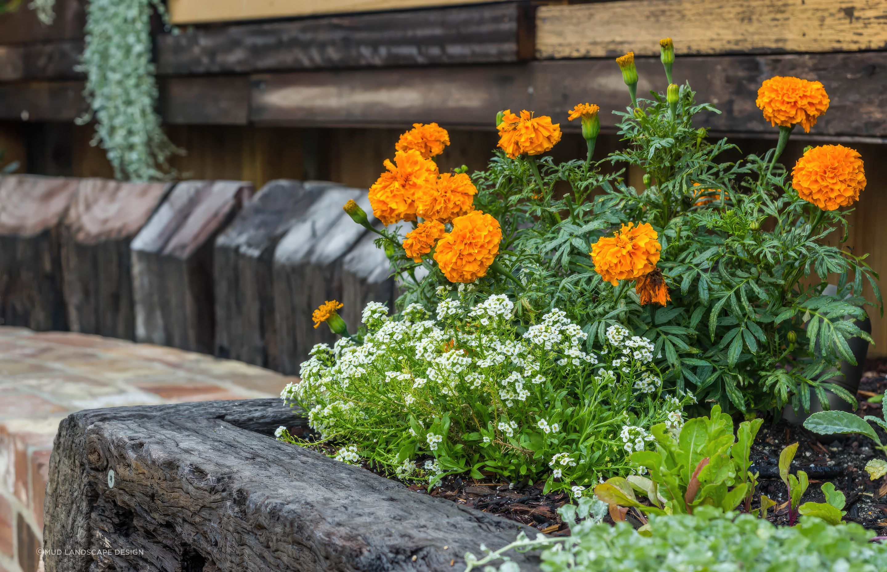 up9-Parry-Street-garden-fix-standard-scale-200x.jpg