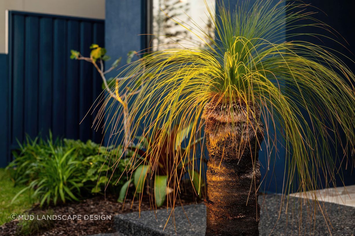 upBar-Beach-Urban-Oasis-Mature-grass-tree-scaled-fix-standard-scale-200x.jpg