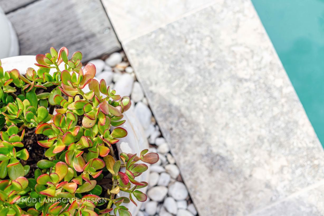 upBelmont-Backyard-Pool-With-Cabana-06-scaled-fix-standard-scale-200x.jpg