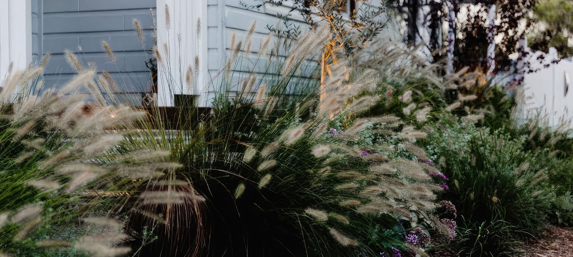 Hamilton | Cottage Garden Re-Imagined banner