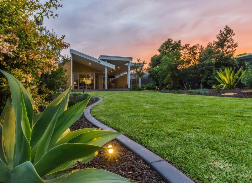 Salamander | Contemporary Garden Design