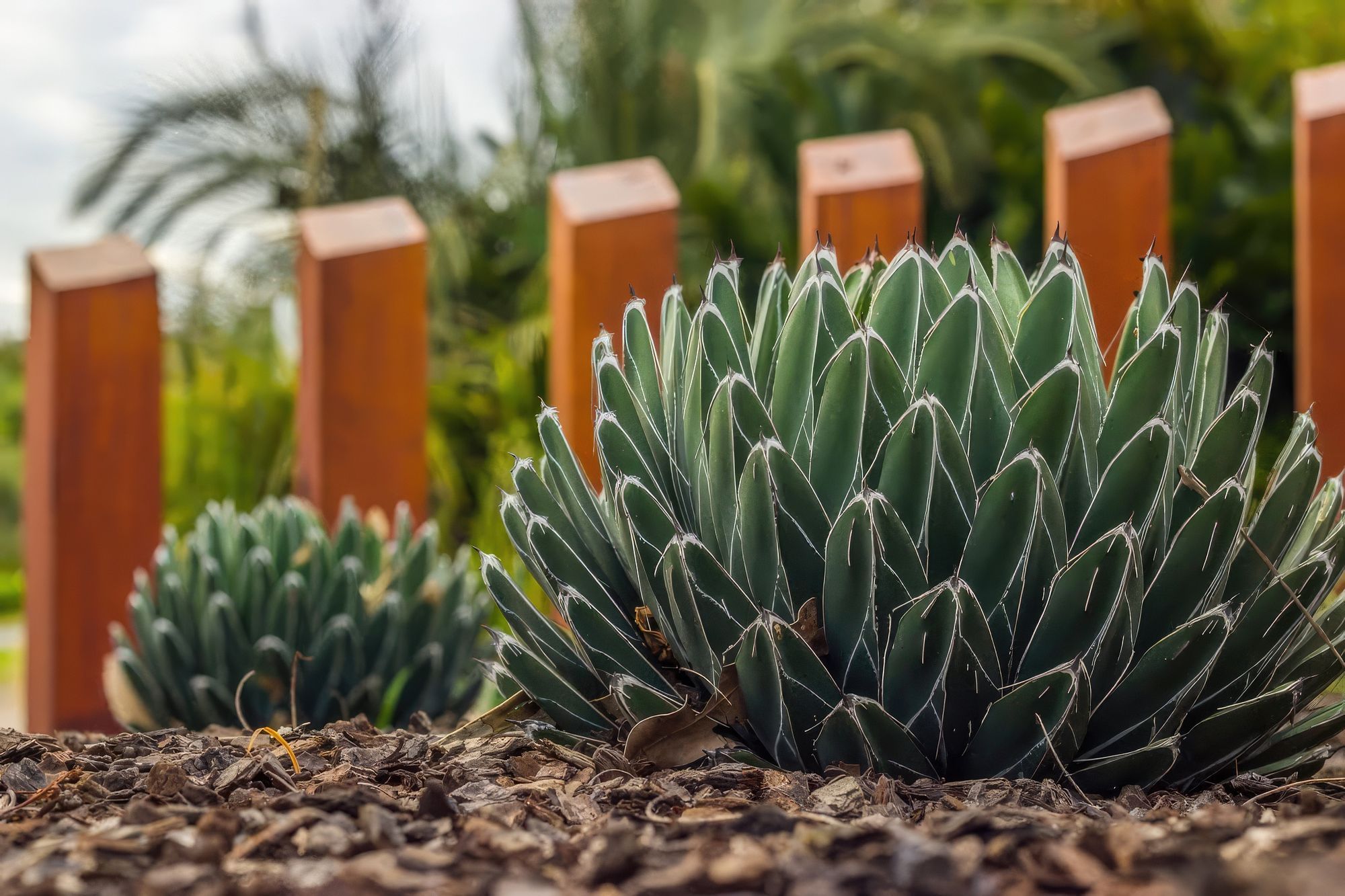 upNelson-Bay-Landscape-Design-13-MUD-Landscape-Design-1024x683-fix-standard-scale-200x.jpg