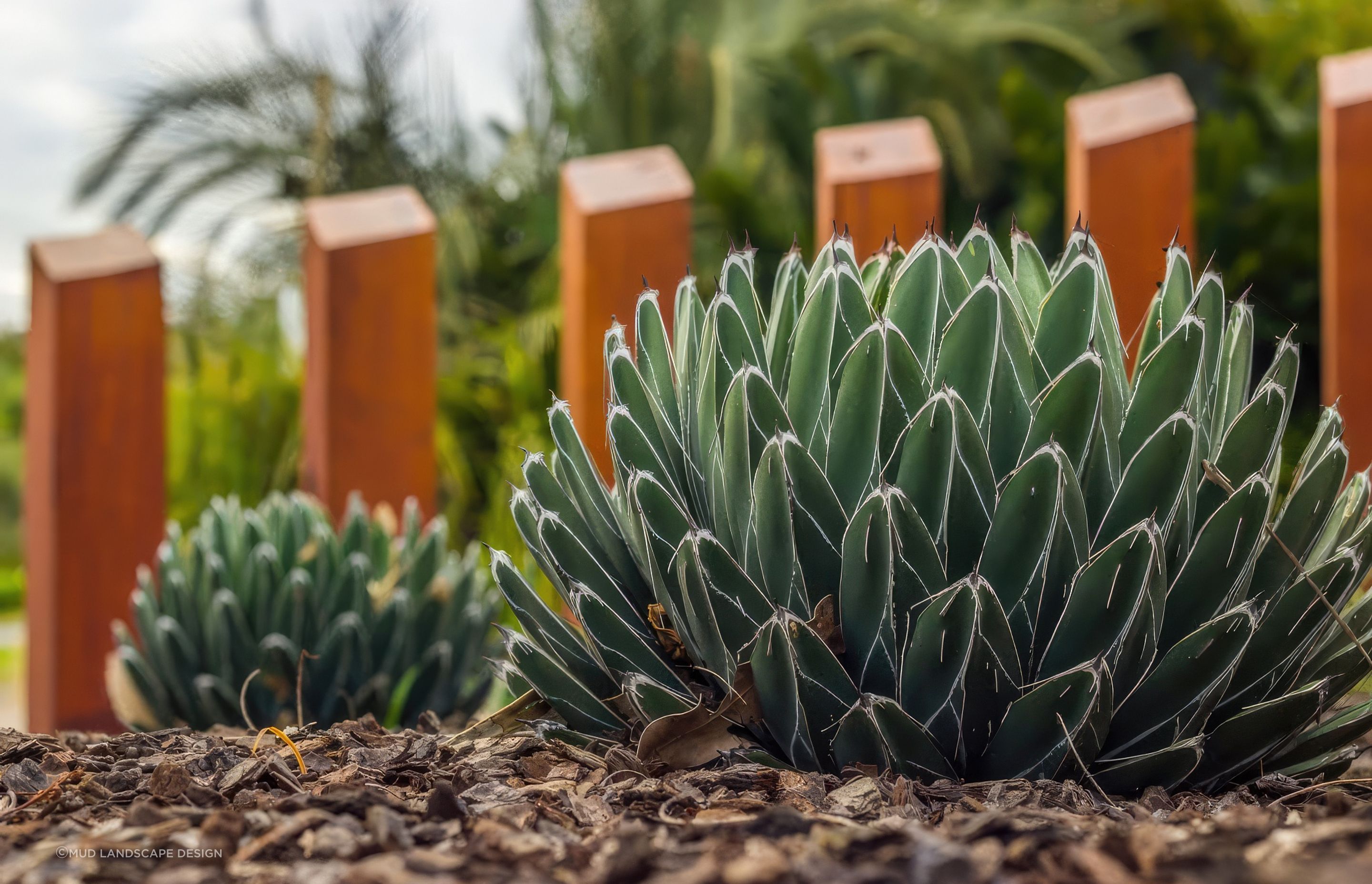 upNelson-Bay-Landscape-Design-13-MUD-Landscape-Design-1024x683-fix-standard-scale-200x.jpg