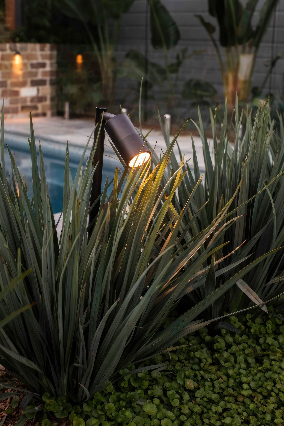 upNew-Lambton-Plunge-Pool-and-Pizza-Oven-14-scaled-fix-standard-scale-200x.jpg