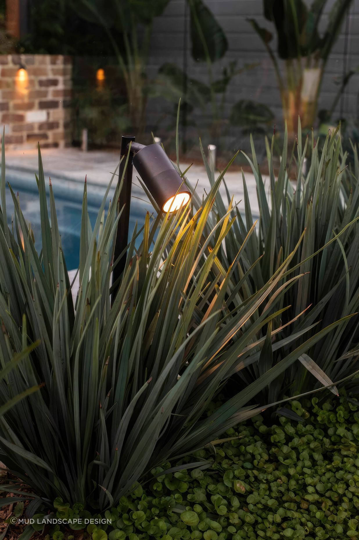 upNew-Lambton-Plunge-Pool-and-Pizza-Oven-14-scaled-fix-standard-scale-200x.jpg