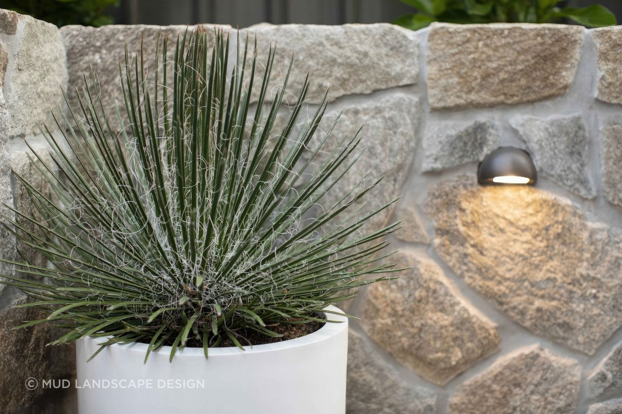 upRose-St-Merewether-Backyard-Plunge-Pool-11-scaled-fix-standard-scale-200x.jpg