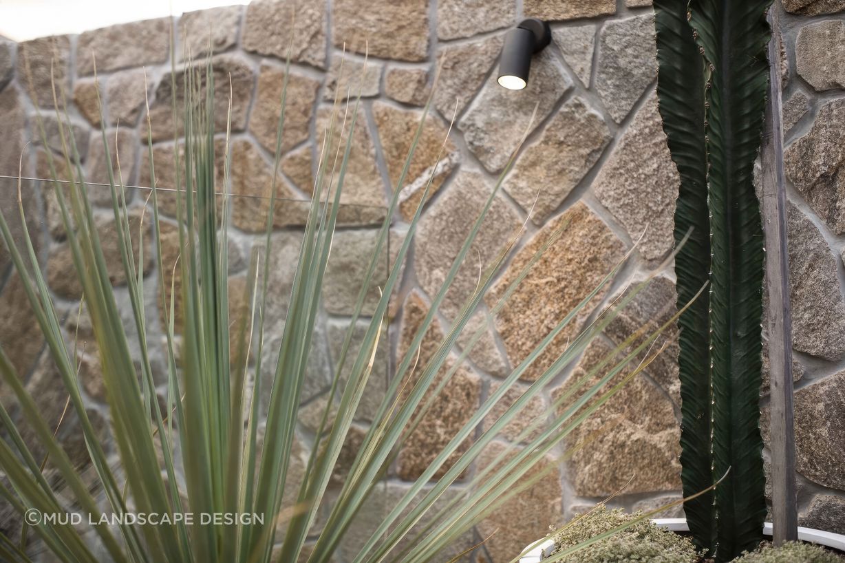 upRose-St-Merewether-Backyard-Plunge-Pool-13-scaled-fix-standard-scale-200x.jpg