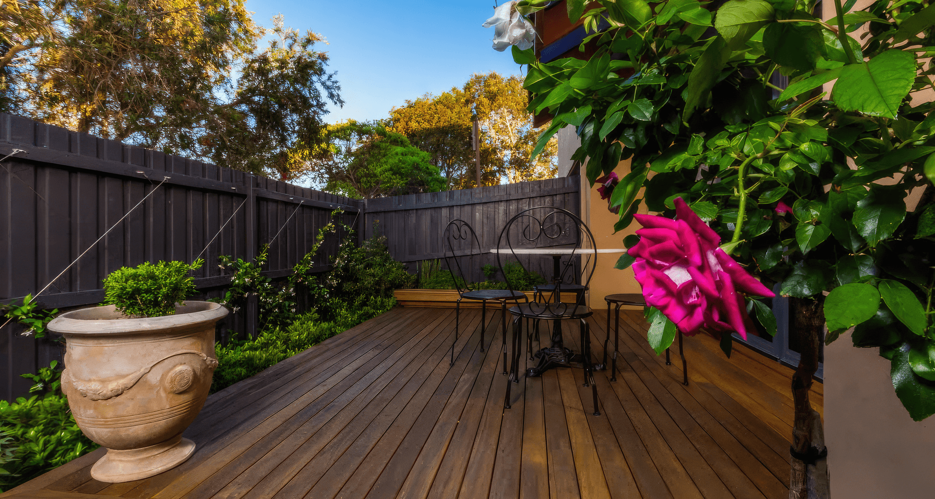 The Junction | Inner City Garden Oasis banner