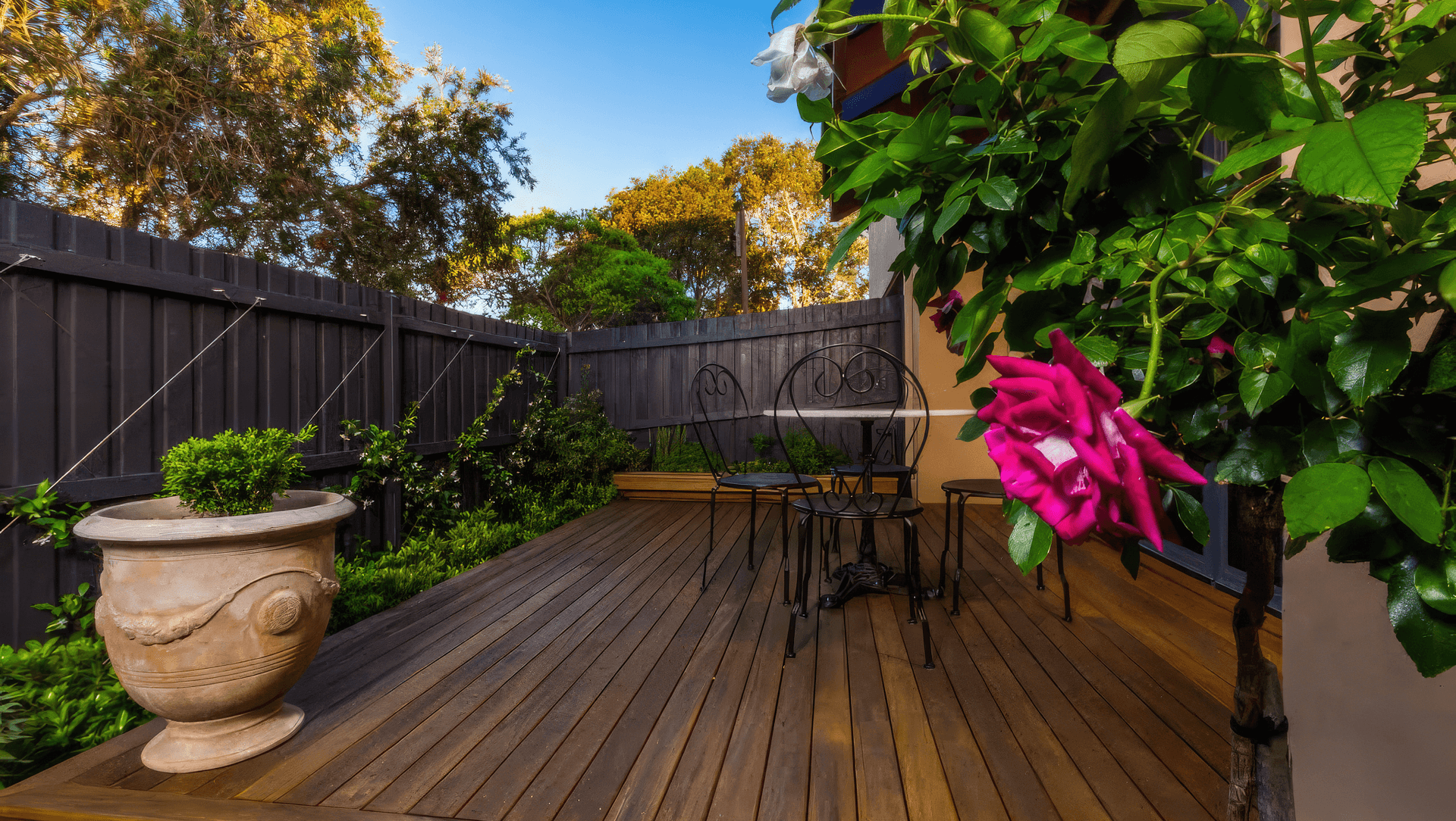 The Junction | Inner City Garden Oasis banner