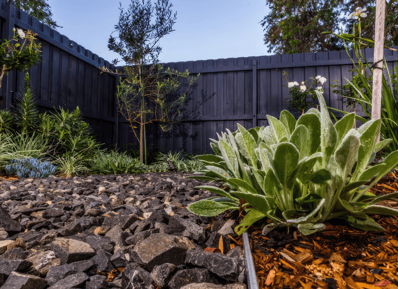 The Junction | Inner City Garden Oasis