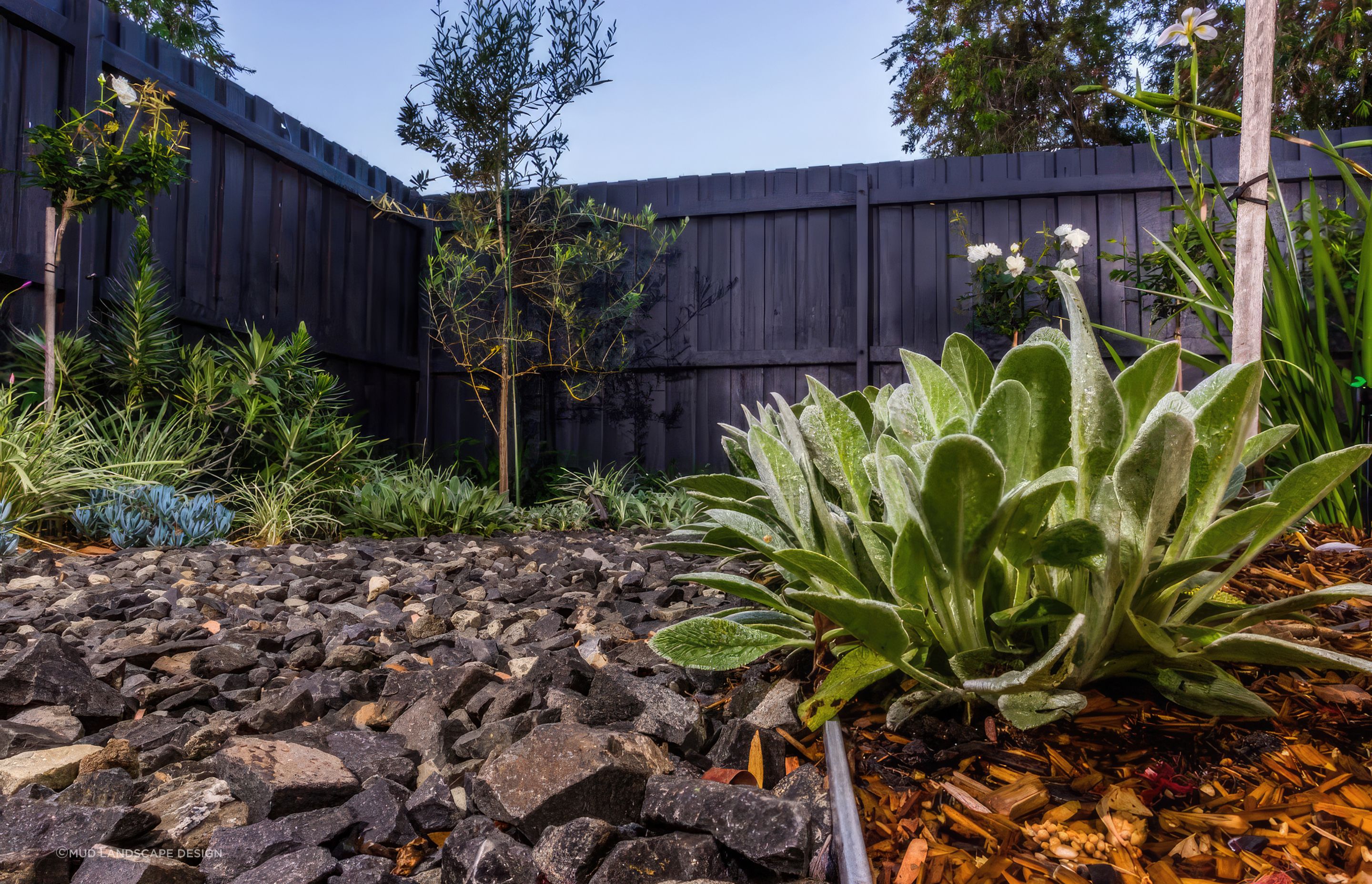 upThe-Junction-Landscape-Design-02-MUD-Landscape-Design-1024x683-fix-standard-scale-200x.png