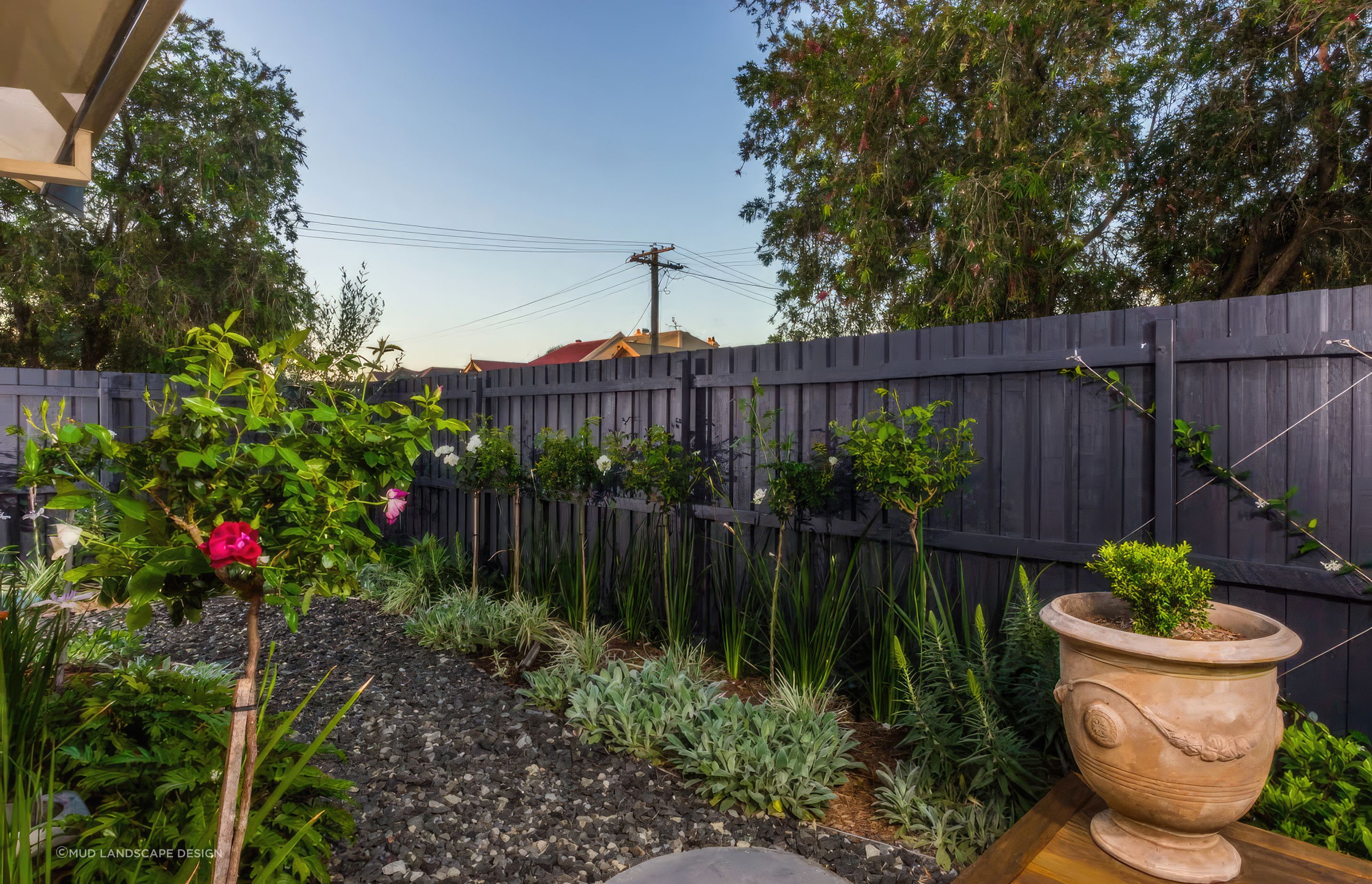 upThe-Junction-Landscape-Design-05-MUD-Landscape-Design-1024x683-fix-standard-scale-200x.png