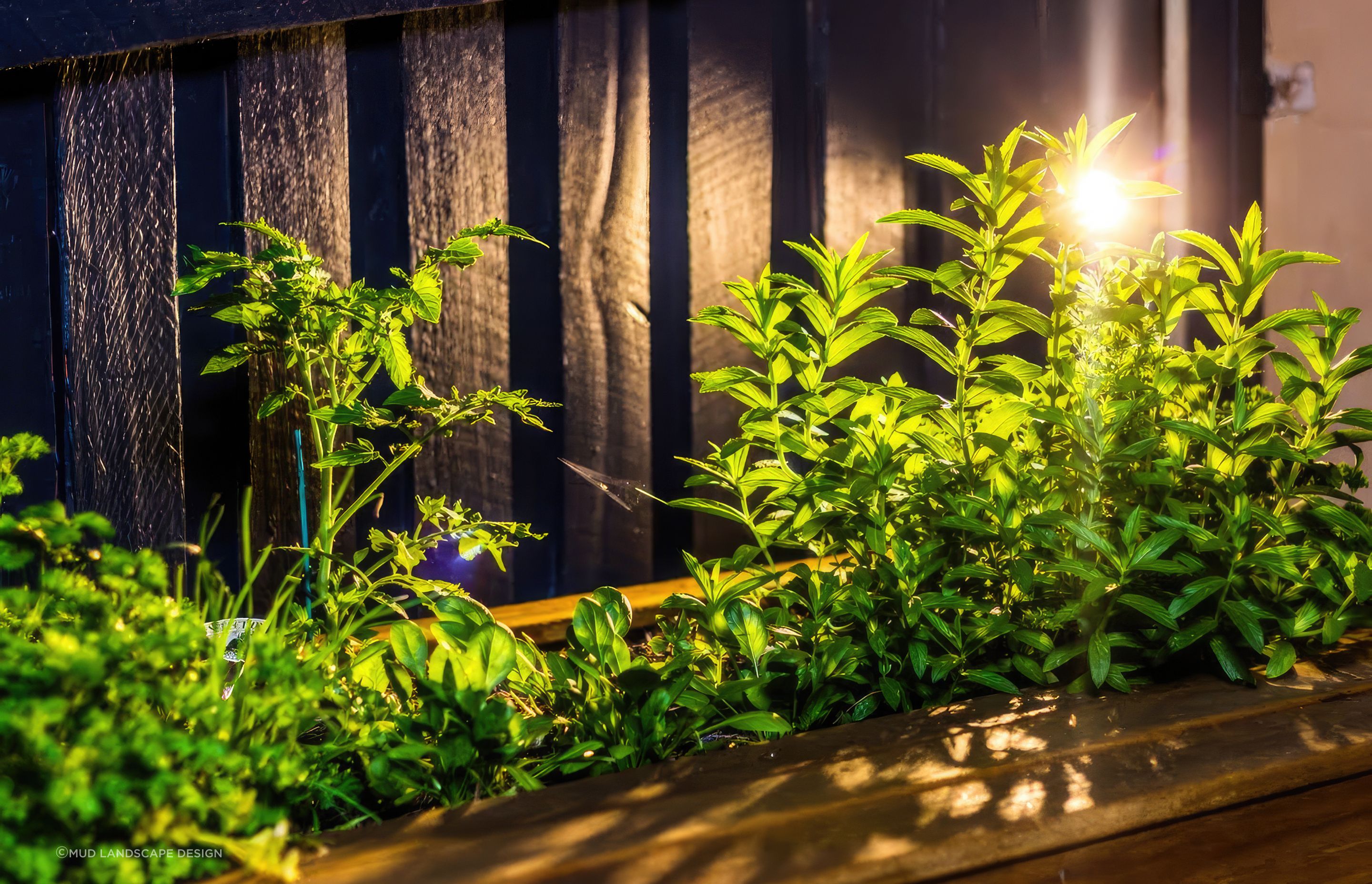 upThe-Junction-Landscape-Design-17-MUD-Landscape-Design-1024x683-fix-standard-scale-200x.png