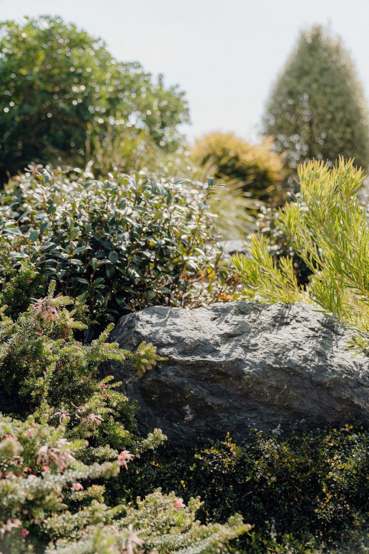 uponsite-landscapes-pukekohe-korowai-2-fix-standard-scale-200x.jpg