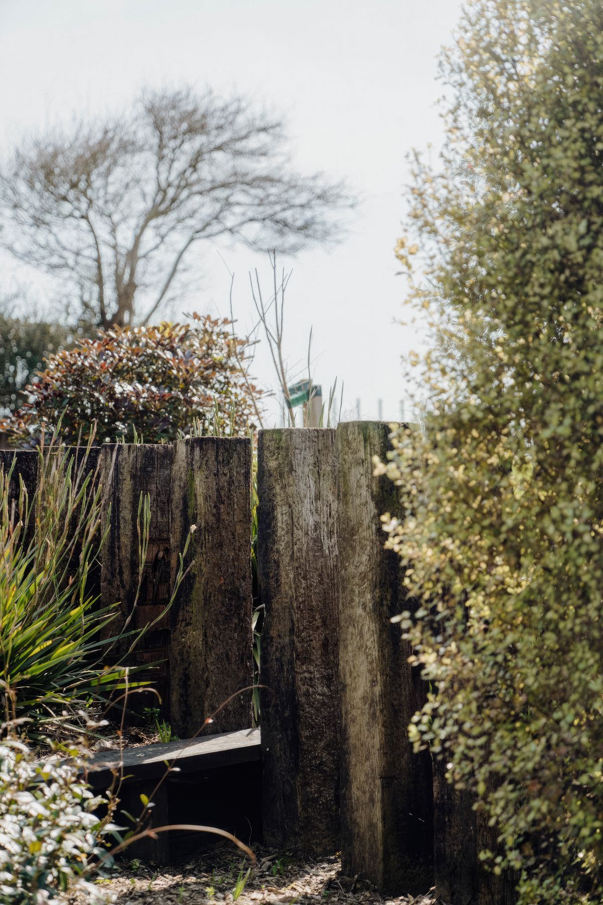 uponsite-landscapes-pukekohe-korowai-7-fix-standard-scale-200x.jpg