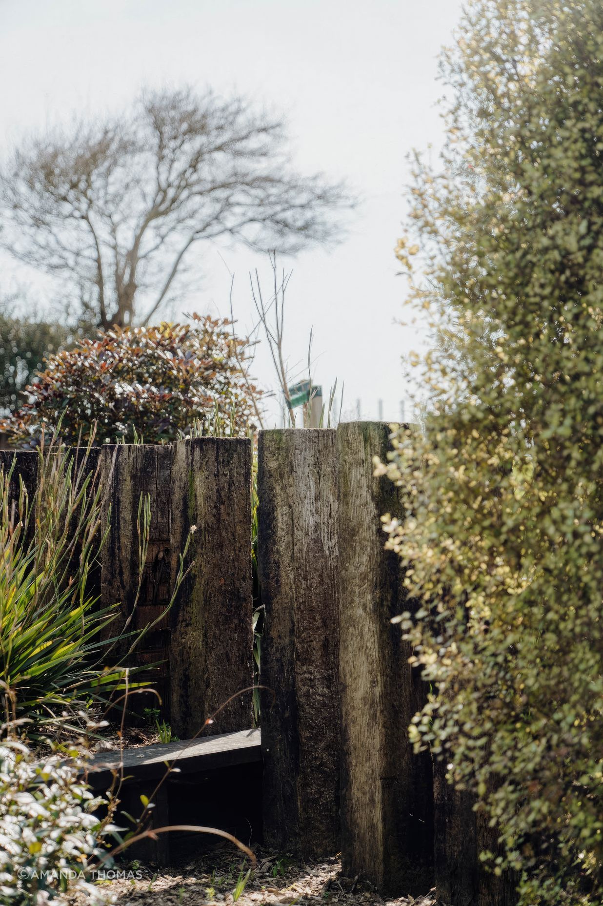 uponsite-landscapes-pukekohe-korowai-7-fix-standard-scale-200x.jpg