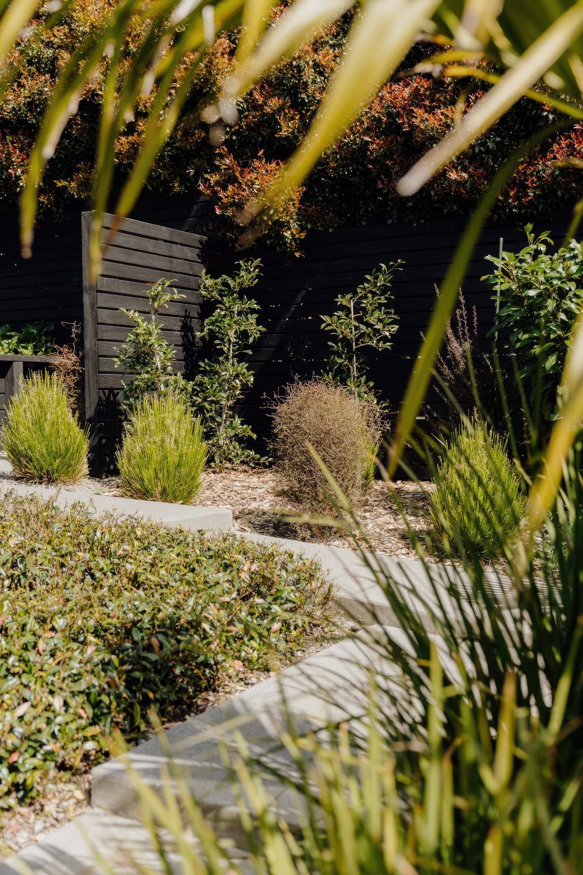 uponsite-landscapes-pukekohe-upper-queen-2-fix-standard-scale-200x.jpg