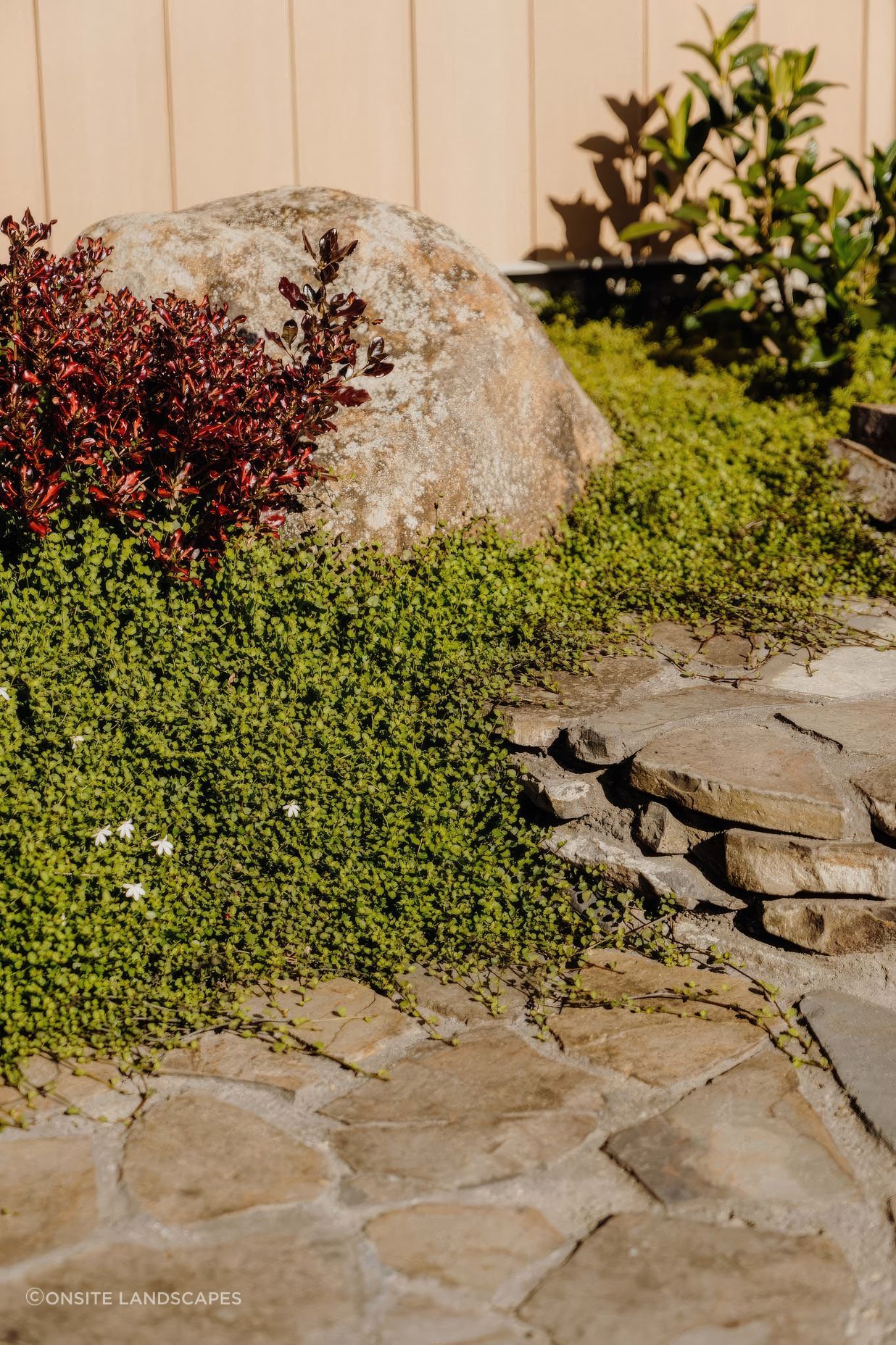uponsite-landscapes-pukekohe-whitford-21-fix-standard-scale-200x.jpg