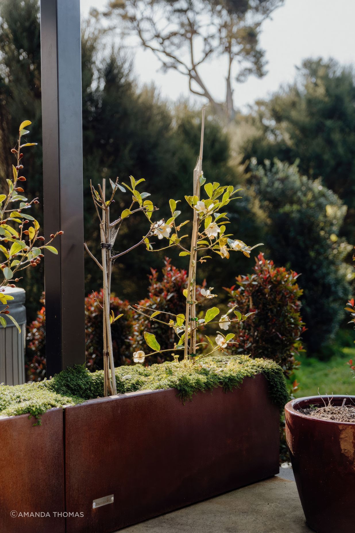 uponsite-landscapes-pukekohe-whitford-29-fix-standard-scale-200x.jpg