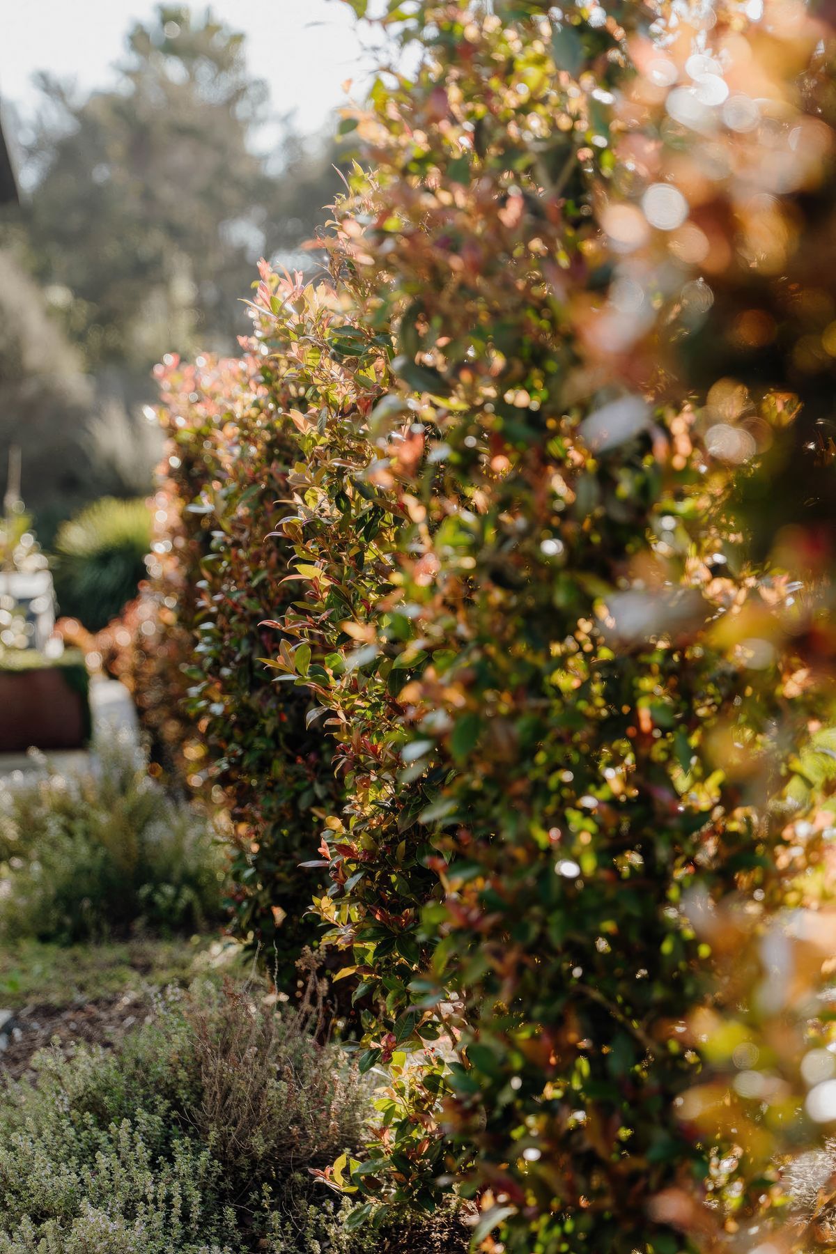 uponsite-landscapes-pukekohe-whitford-32-fix-standard-scale-200x.jpg