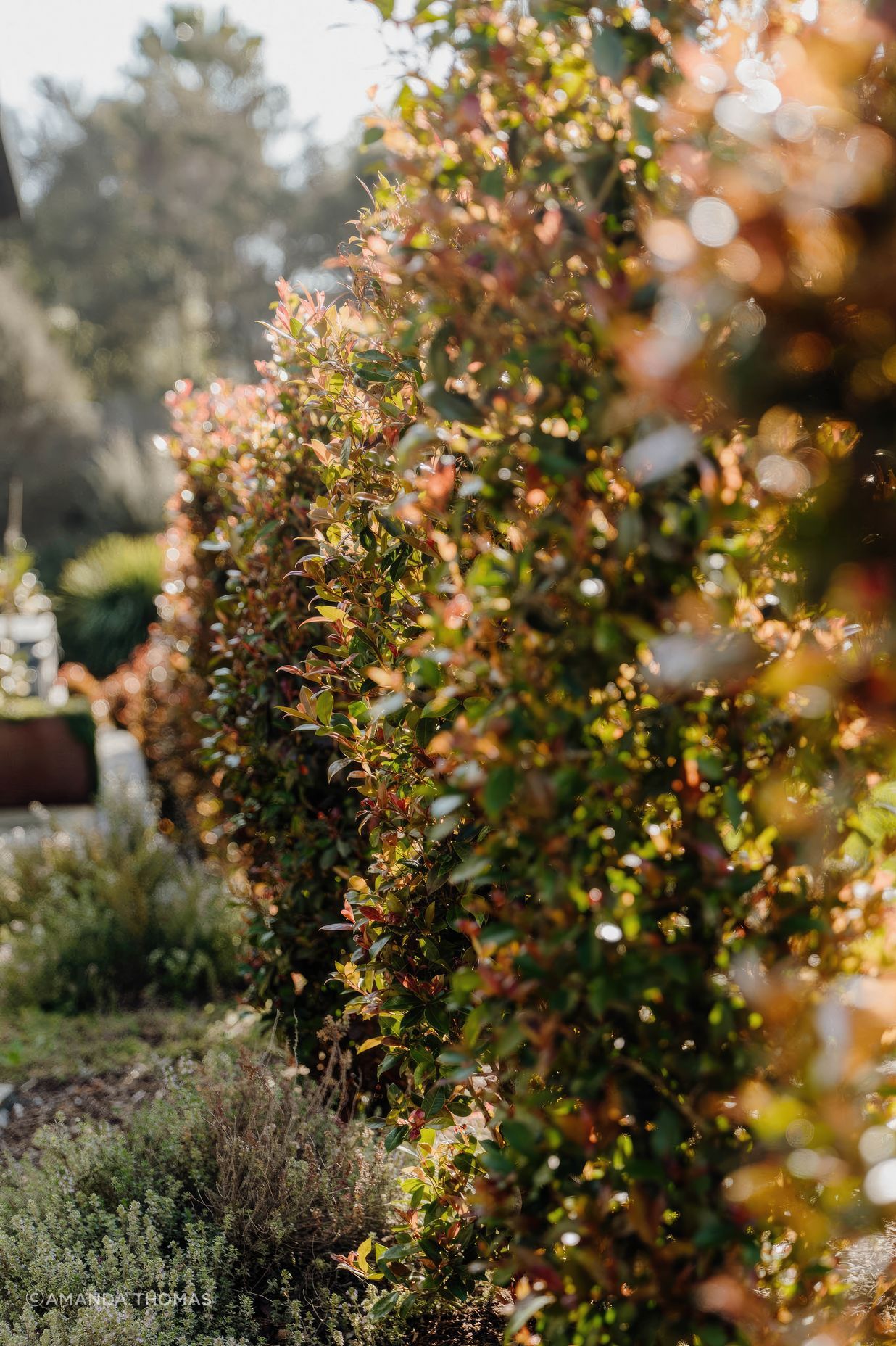 uponsite-landscapes-pukekohe-whitford-32-fix-standard-scale-200x.jpg