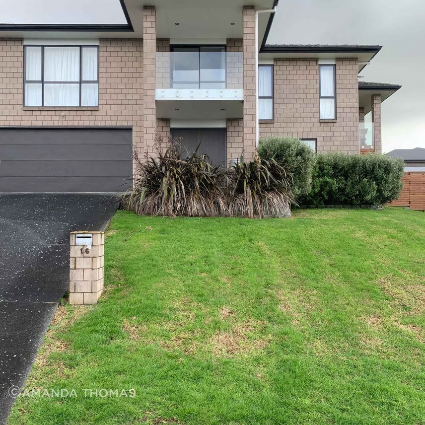 uponsite-landscaping-pukekohe-before-1-fix-standard-scale-200x.jpg