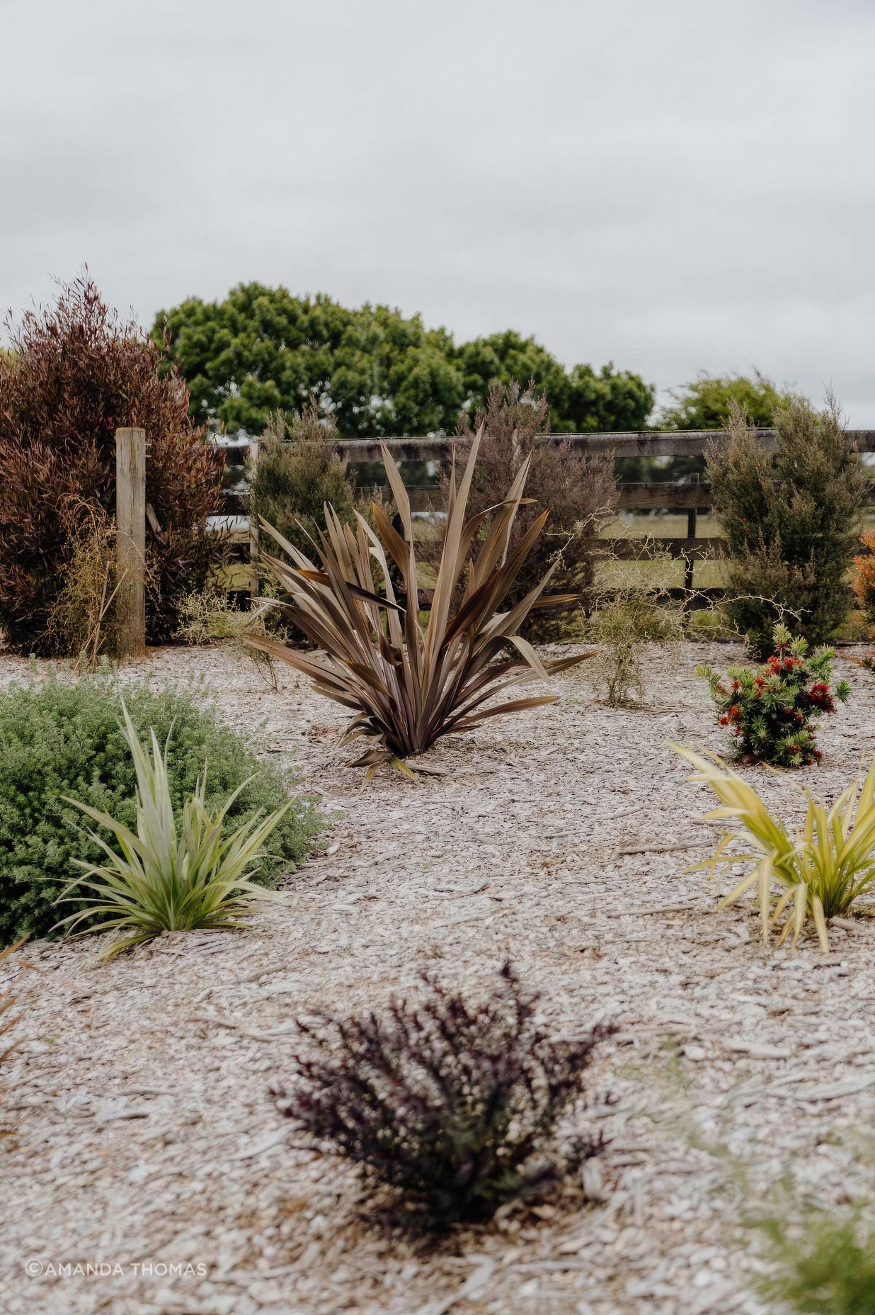 uponsite-landscaping-pukekohe-project-five-27-fix-standard-scale-200x.jpg
