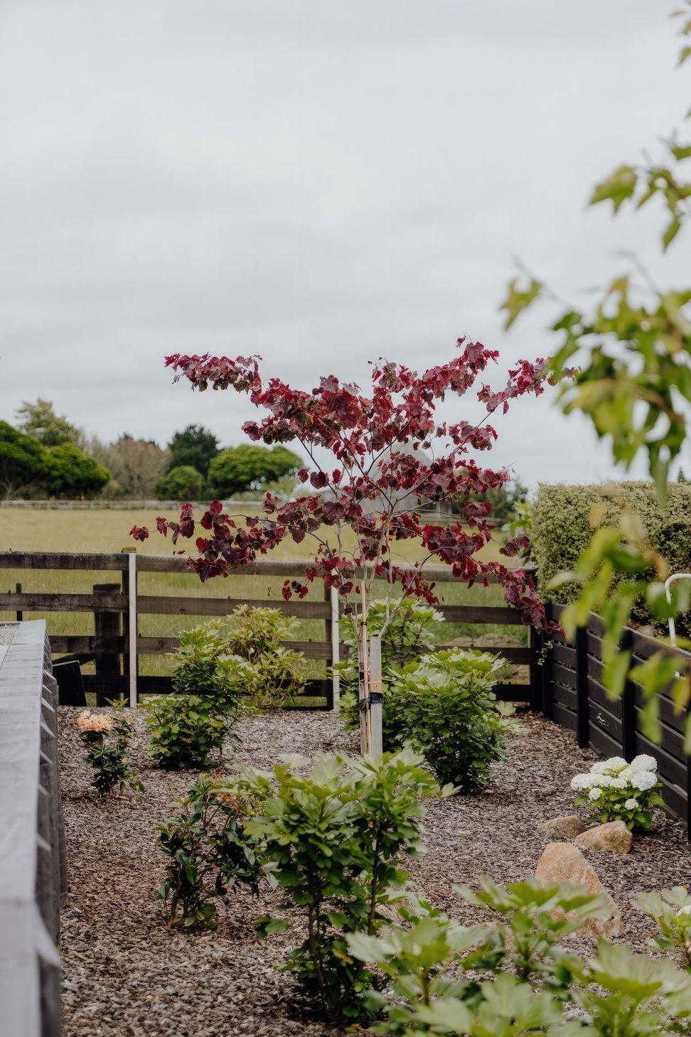 uponsite-landscaping-pukekohe-project-five-4-fix-standard-scale-200x.jpg