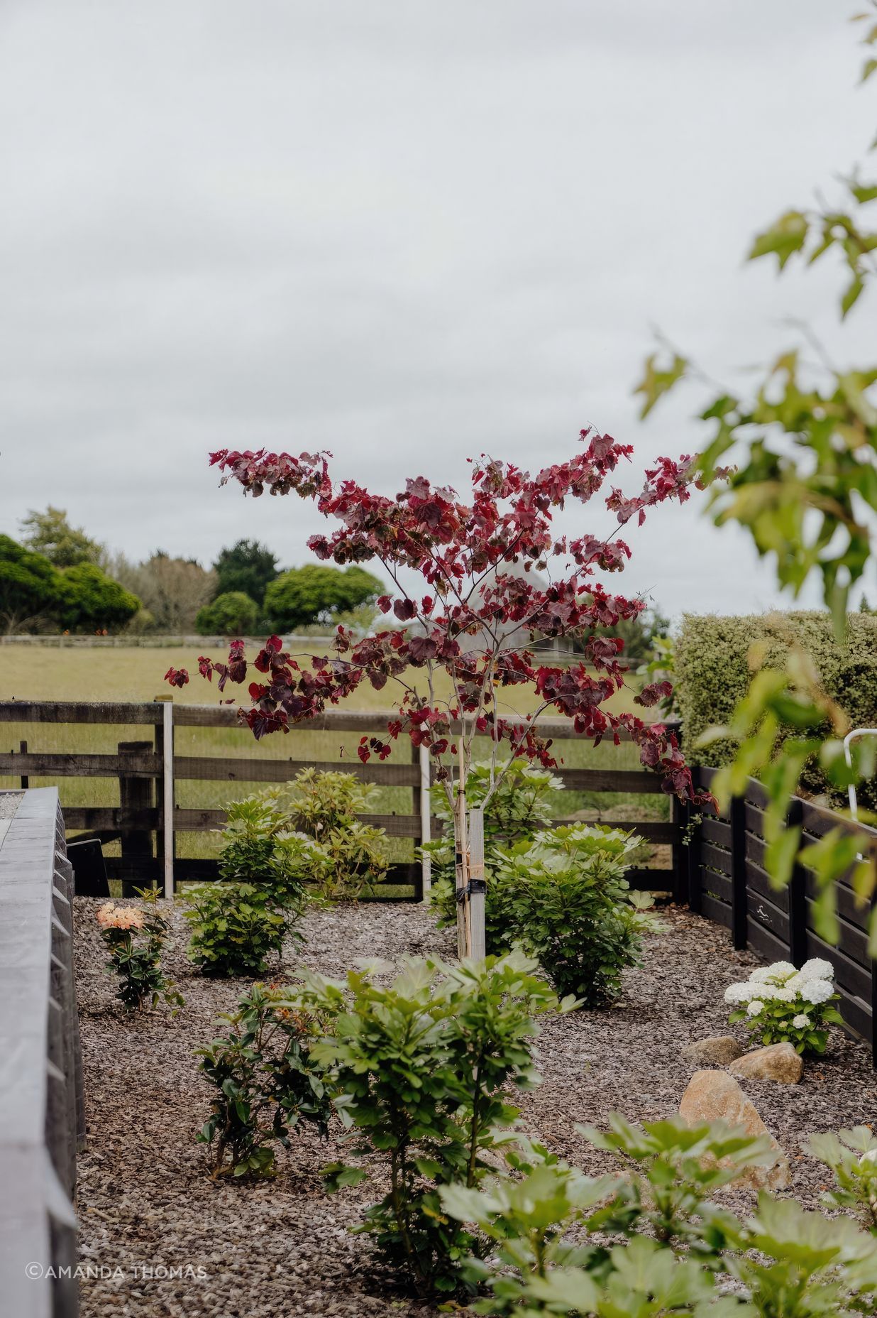 uponsite-landscaping-pukekohe-project-five-4-fix-standard-scale-200x.jpg