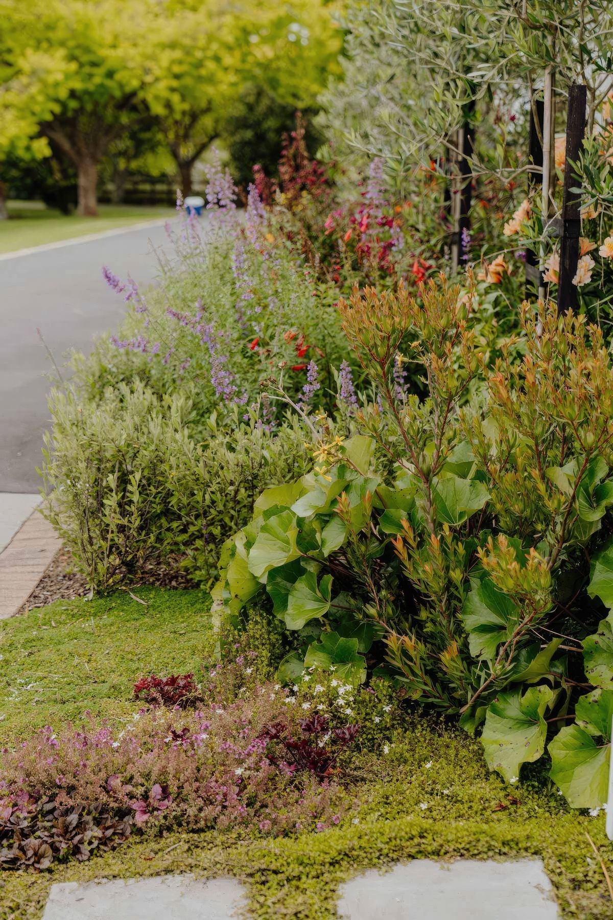 uponsite-landscaping-pukekohe-project-one-12-fix-standard-scale-200x.jpg