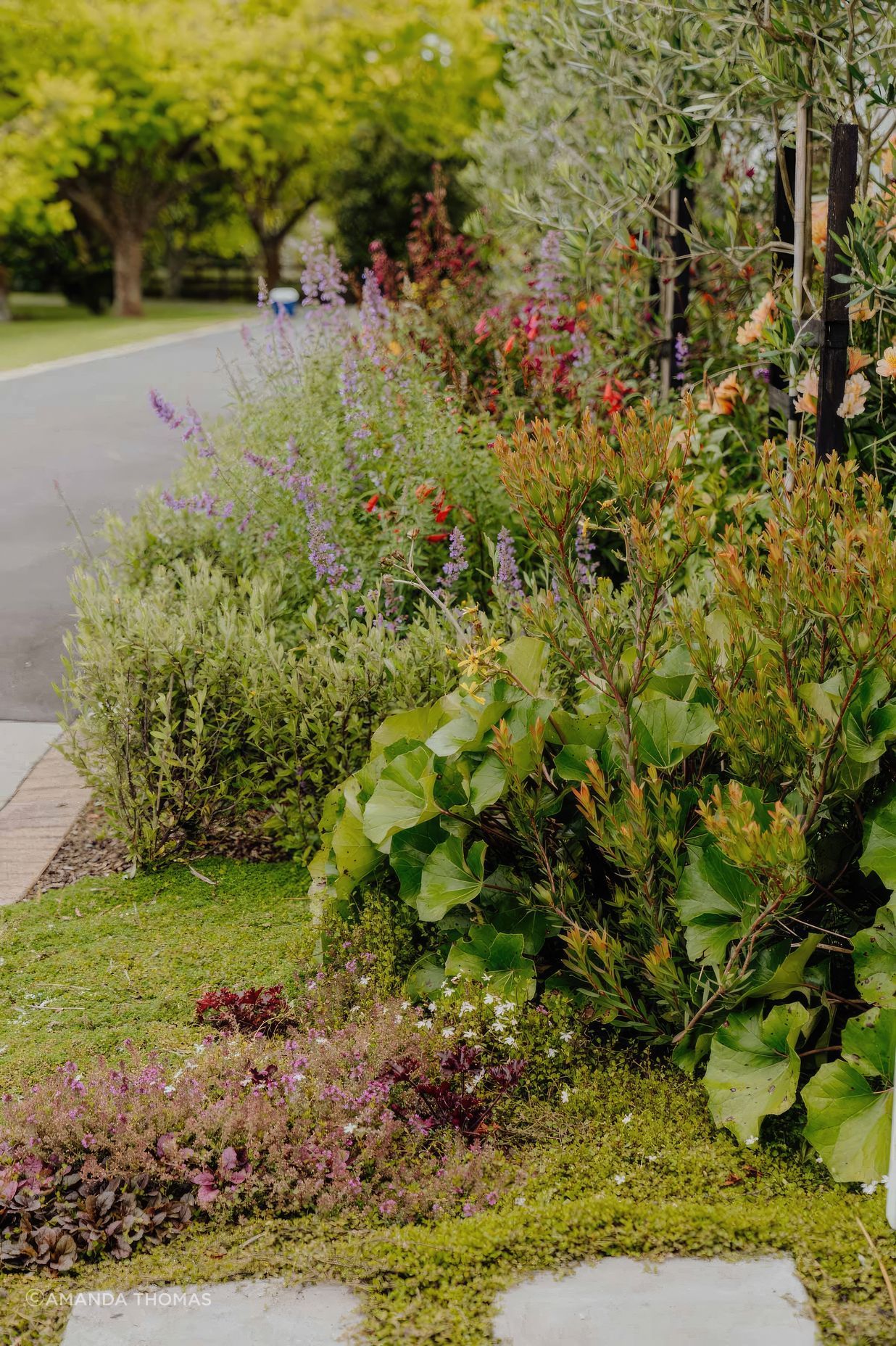 uponsite-landscaping-pukekohe-project-one-12-fix-standard-scale-200x.jpg