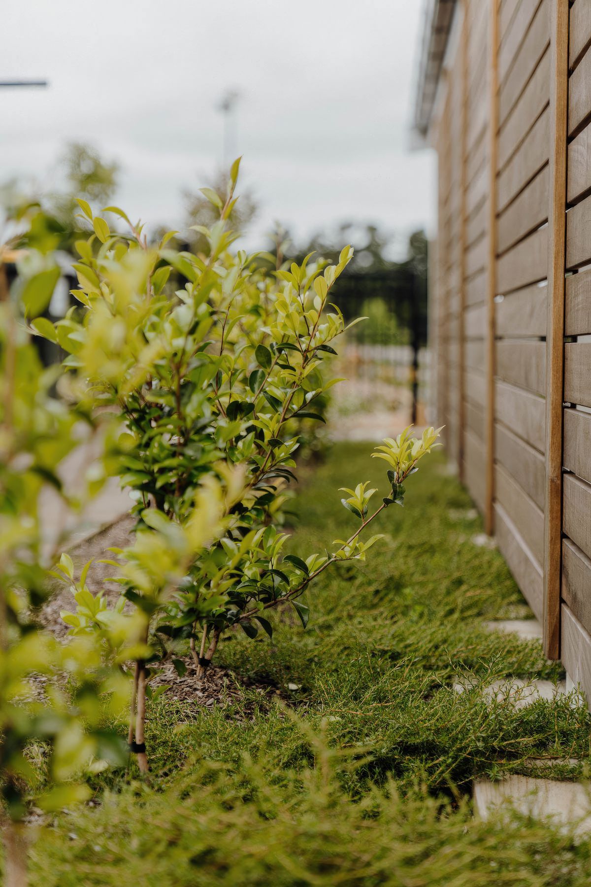 uponsite-landscaping-pukekohe-project-one-23-fix-standard-scale-200x.jpg